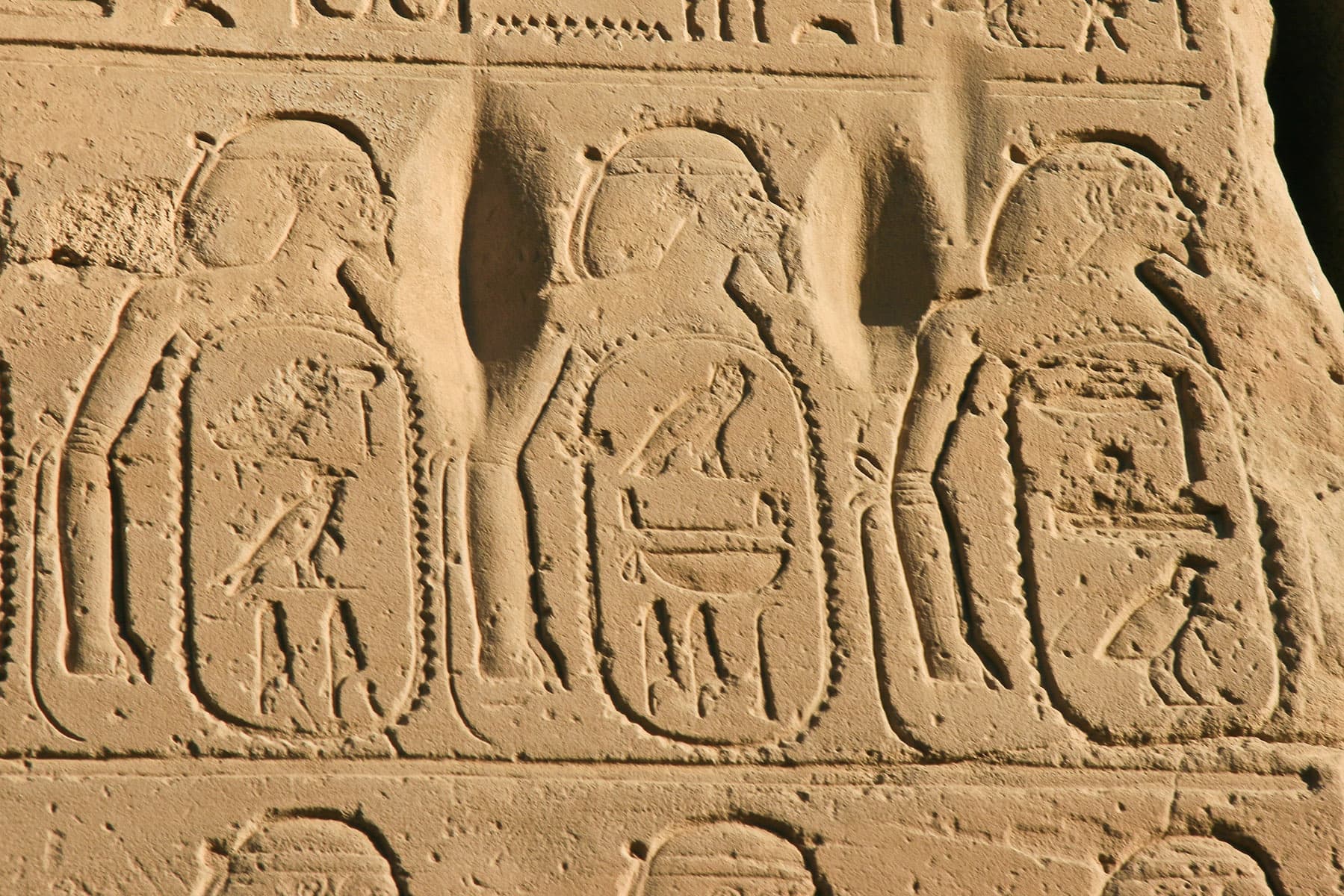 Megiddo Cartouche