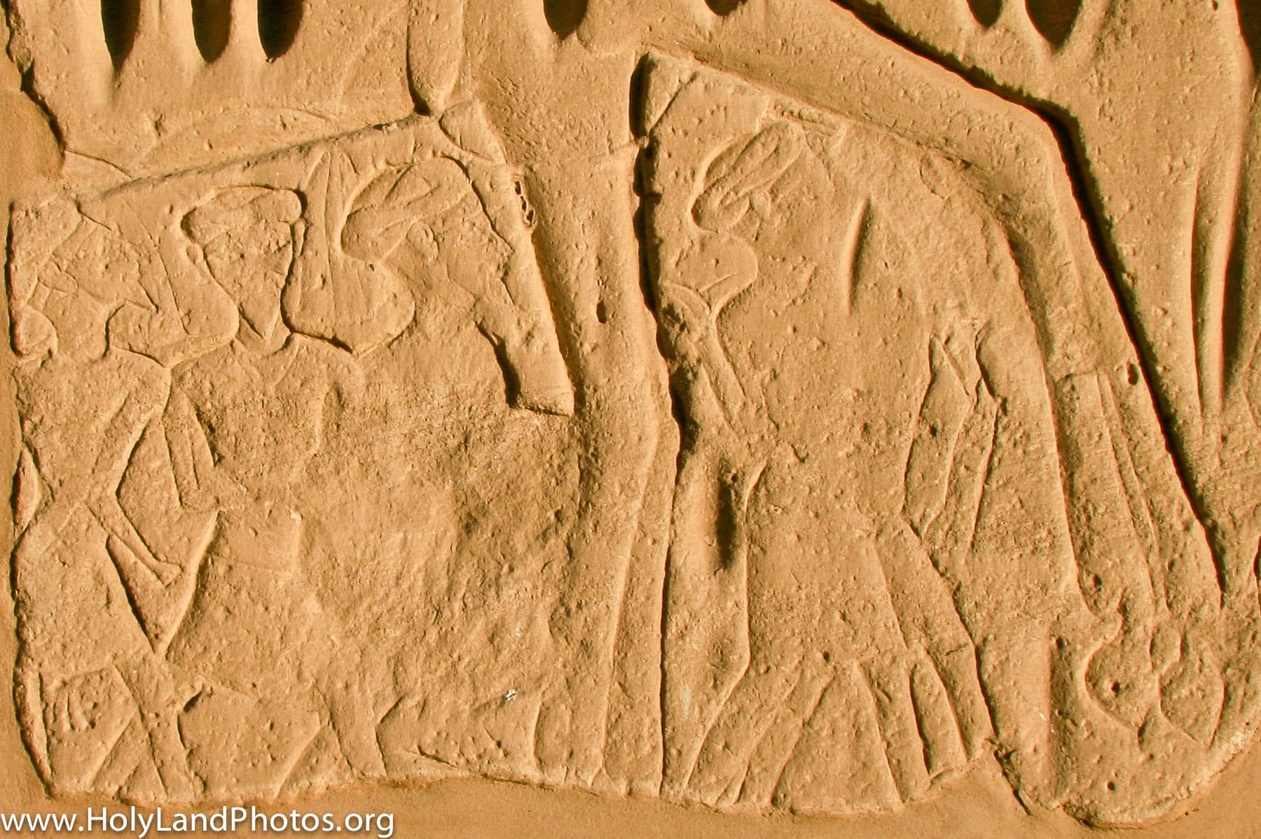 Merneptah and Israelites