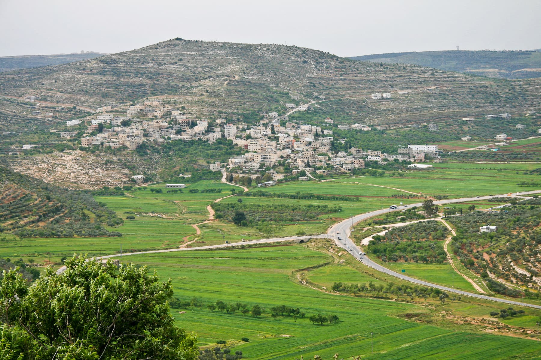 Lebonah