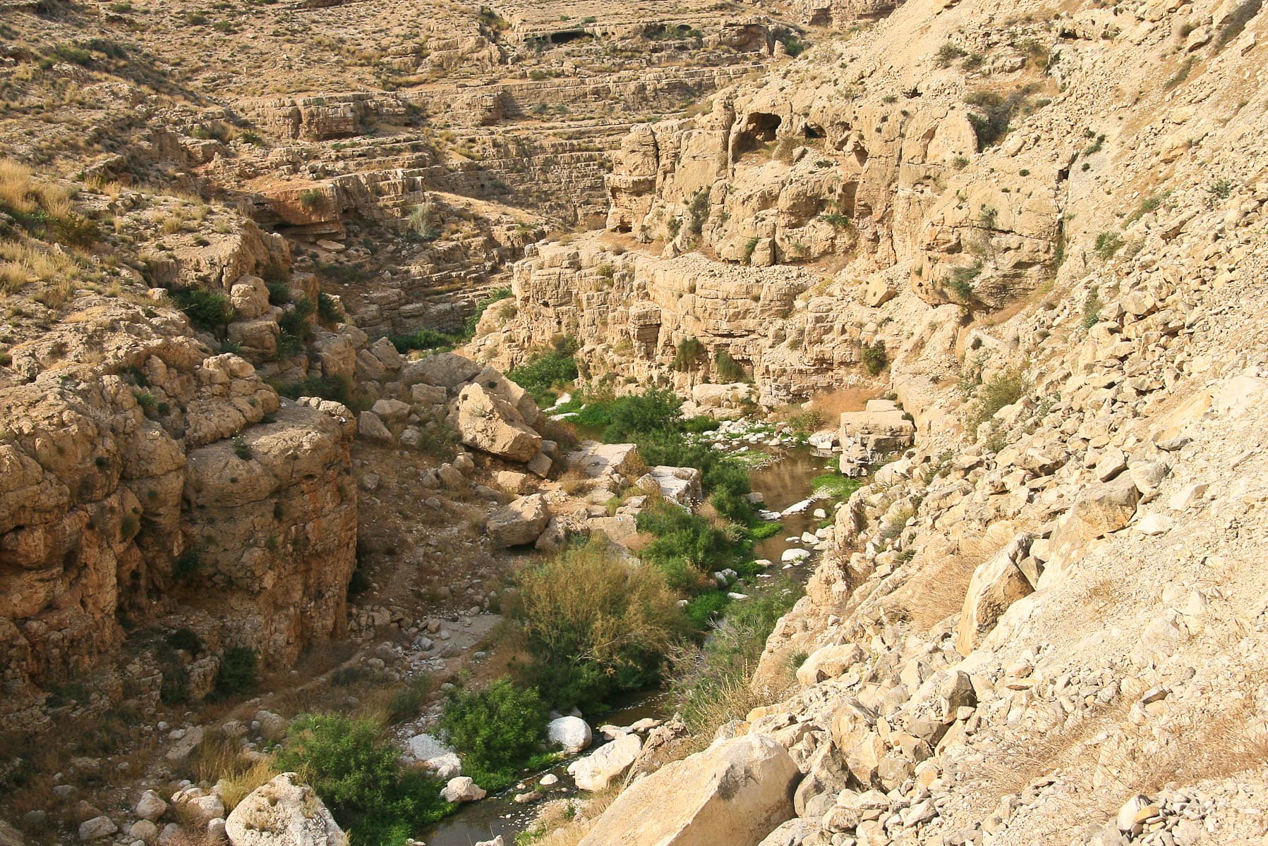Wadi in Wilderness