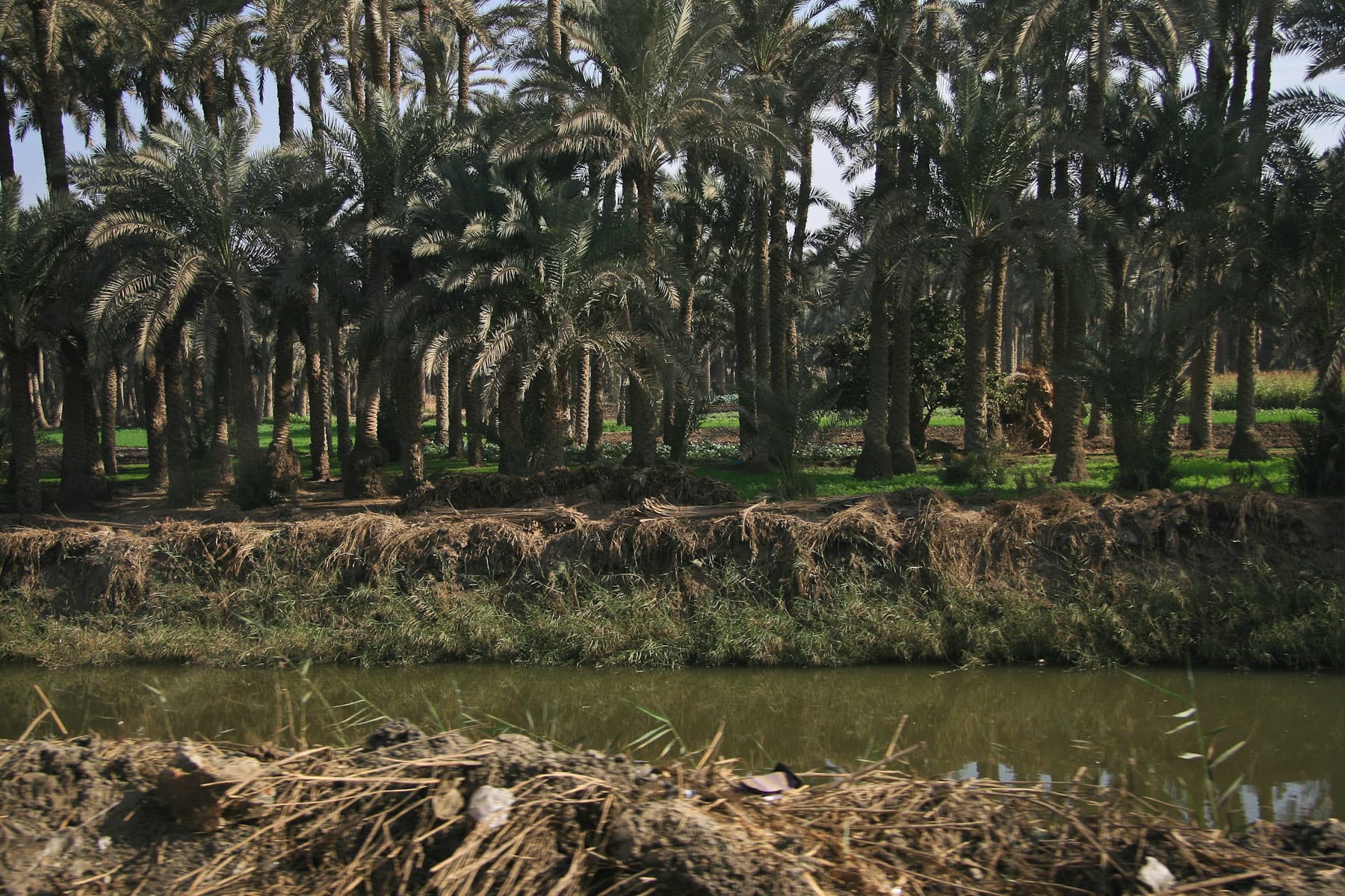 Nile Canal