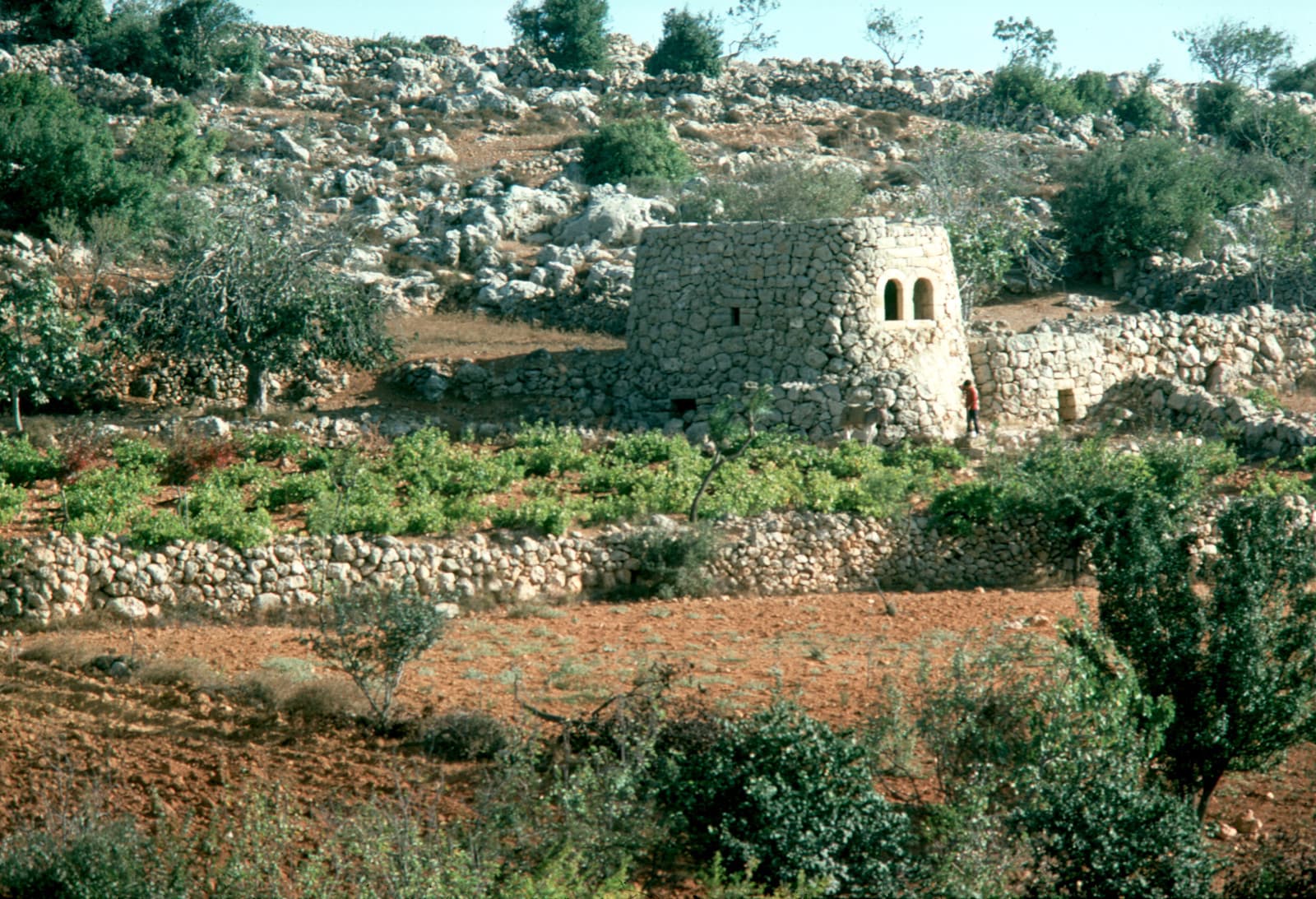 Watch Tower