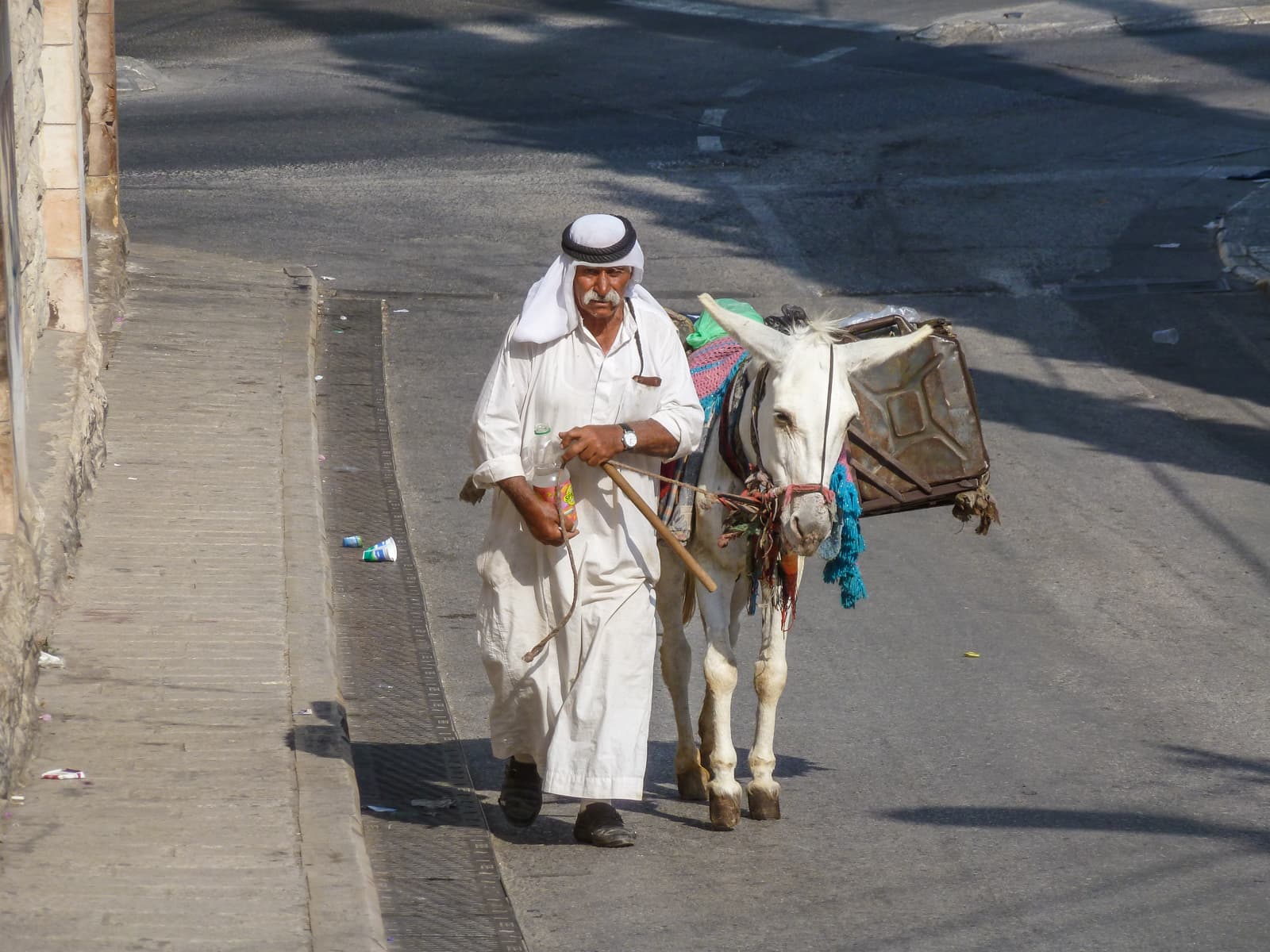 Donkey Delivers Fuel