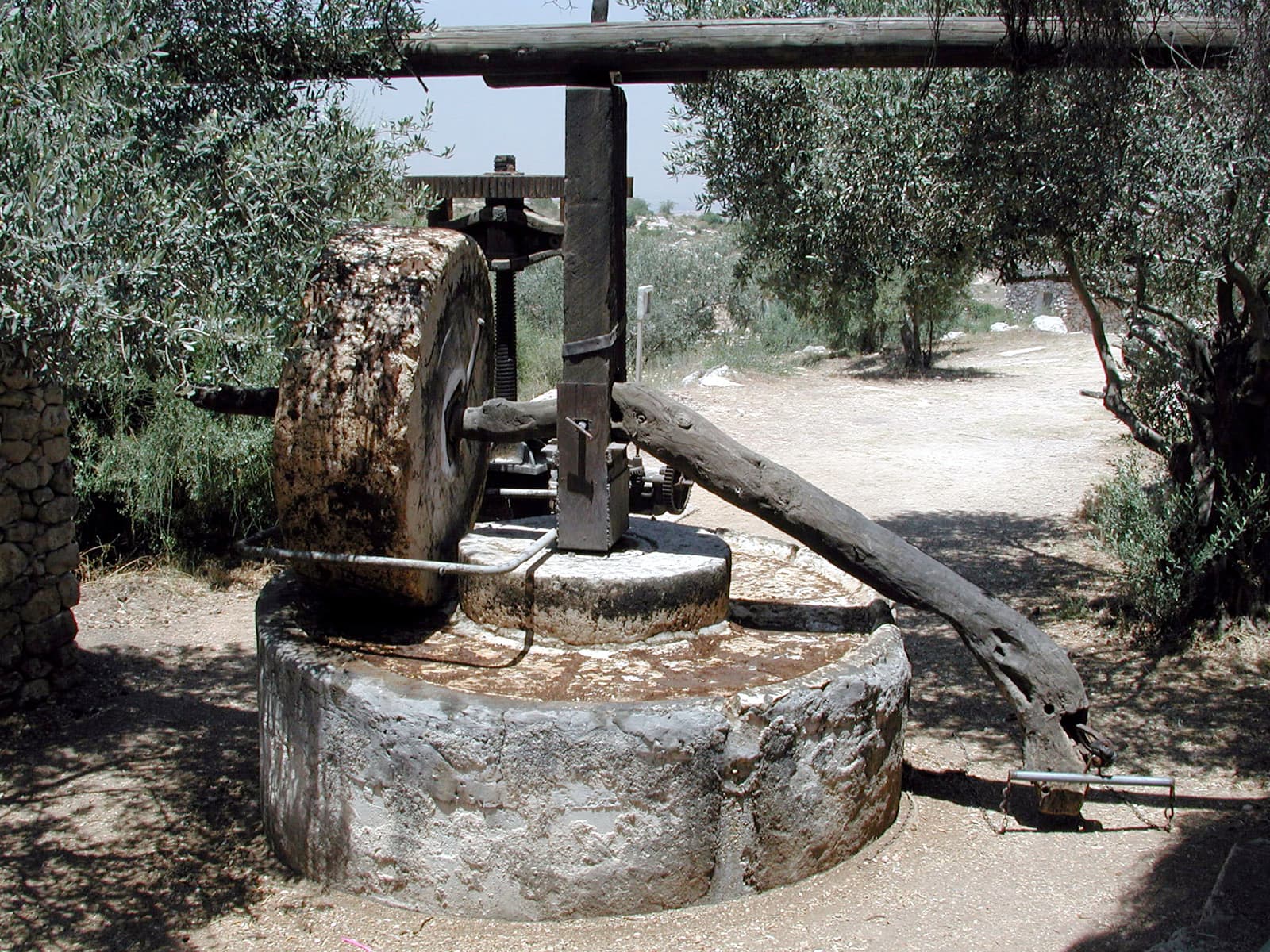 Olive Crusher