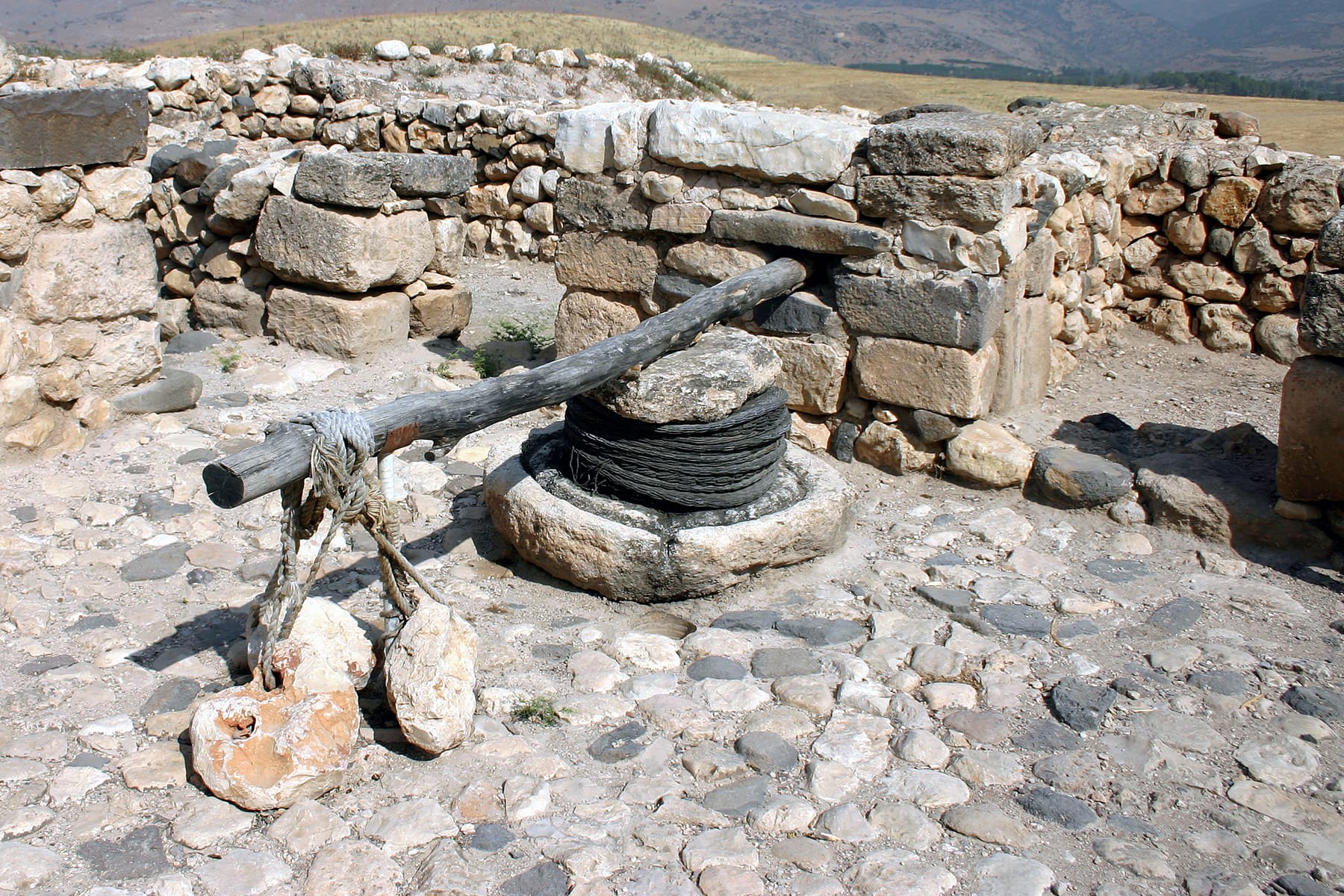 Olive Press