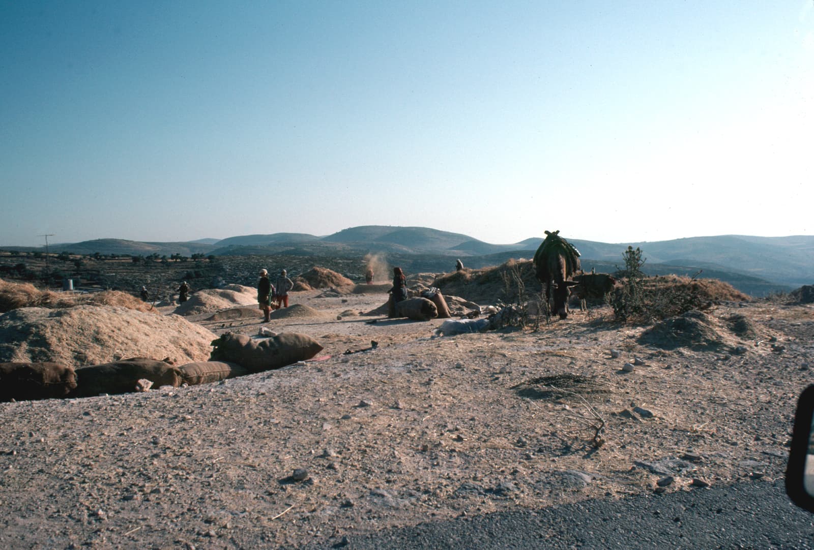 Threshing Floor