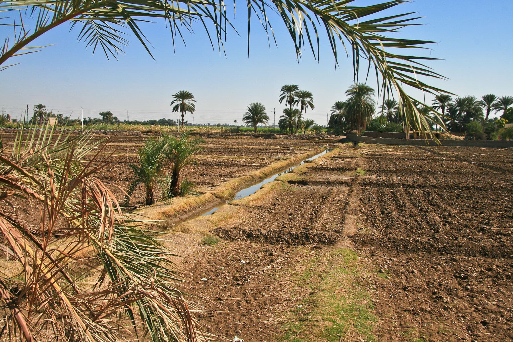 Irrigation