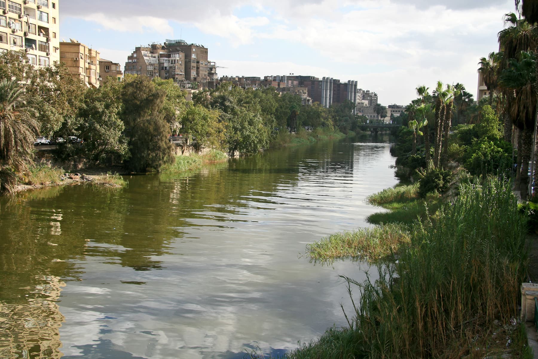 Canal in Cairo