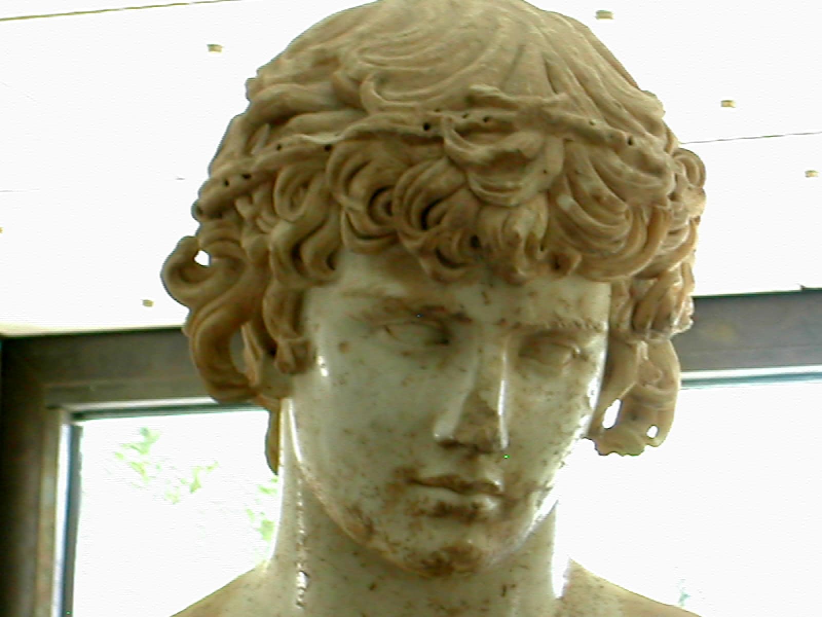 Antinous Head