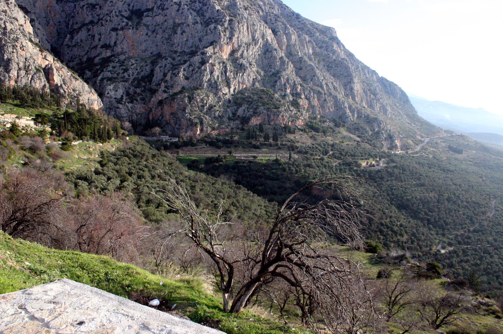 Overview