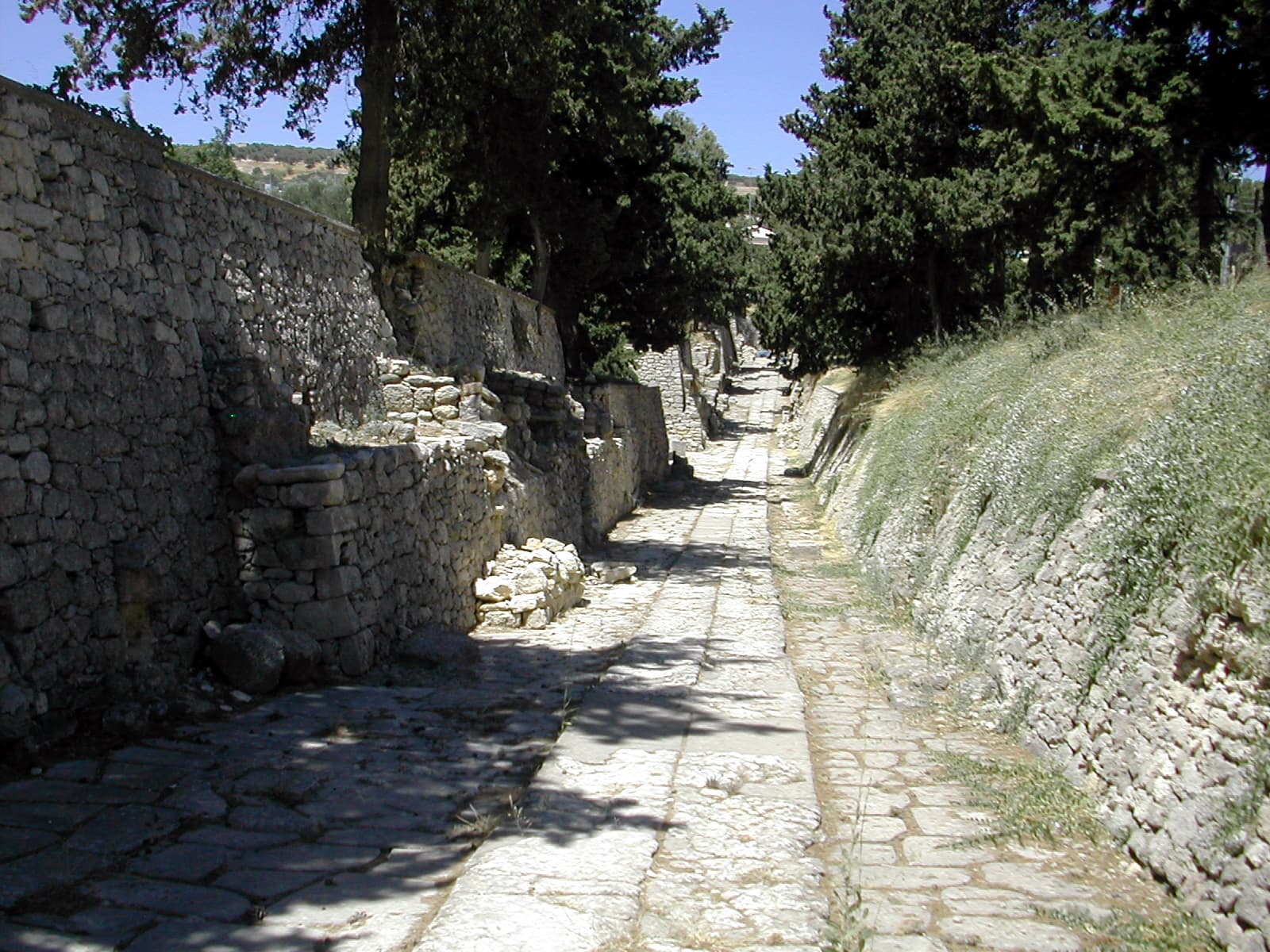 Royal Road