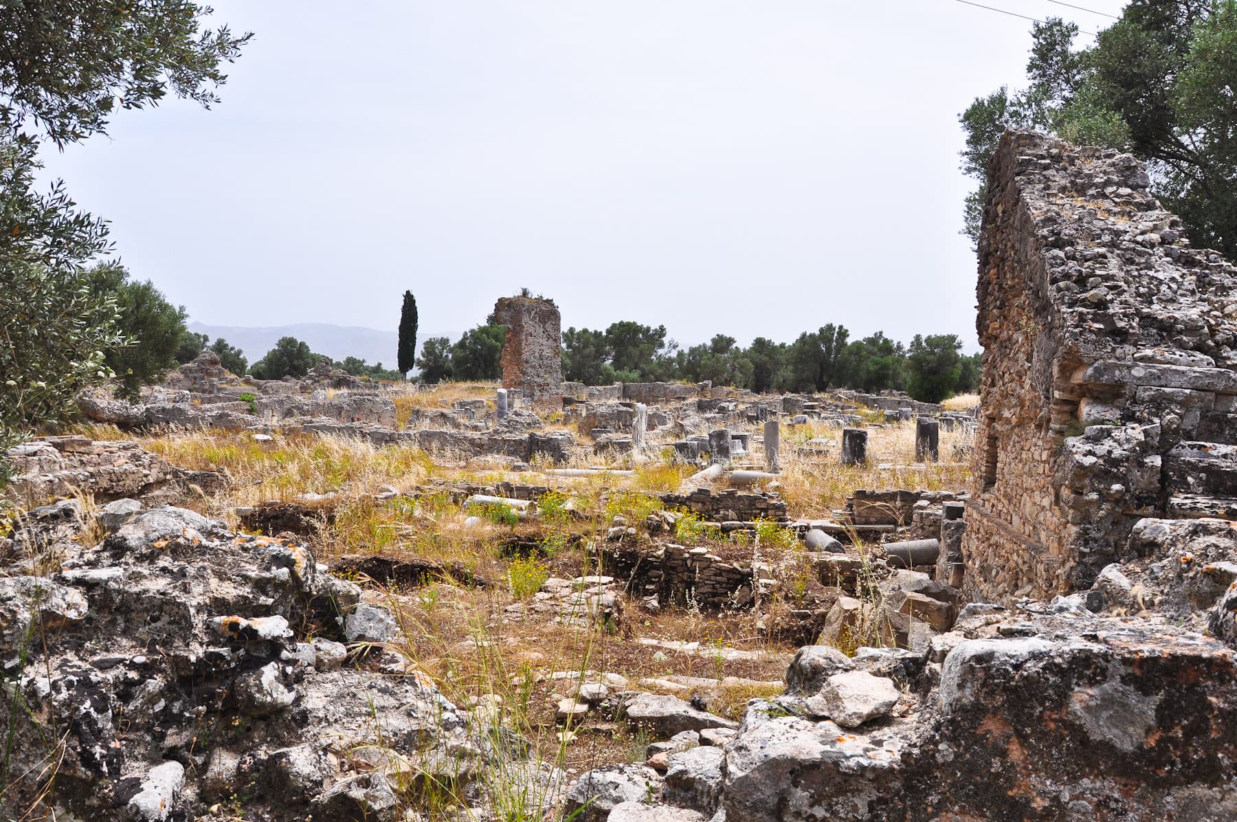Forum