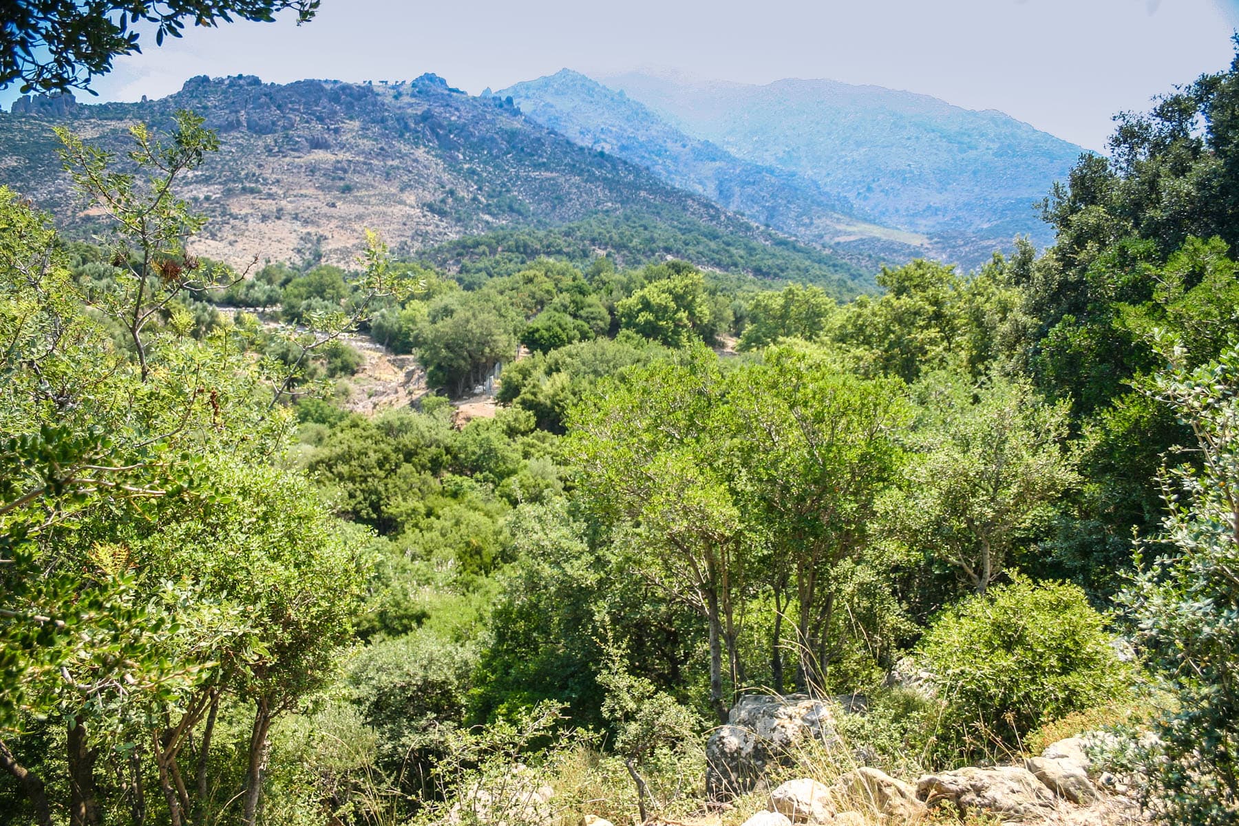 Mount Saos