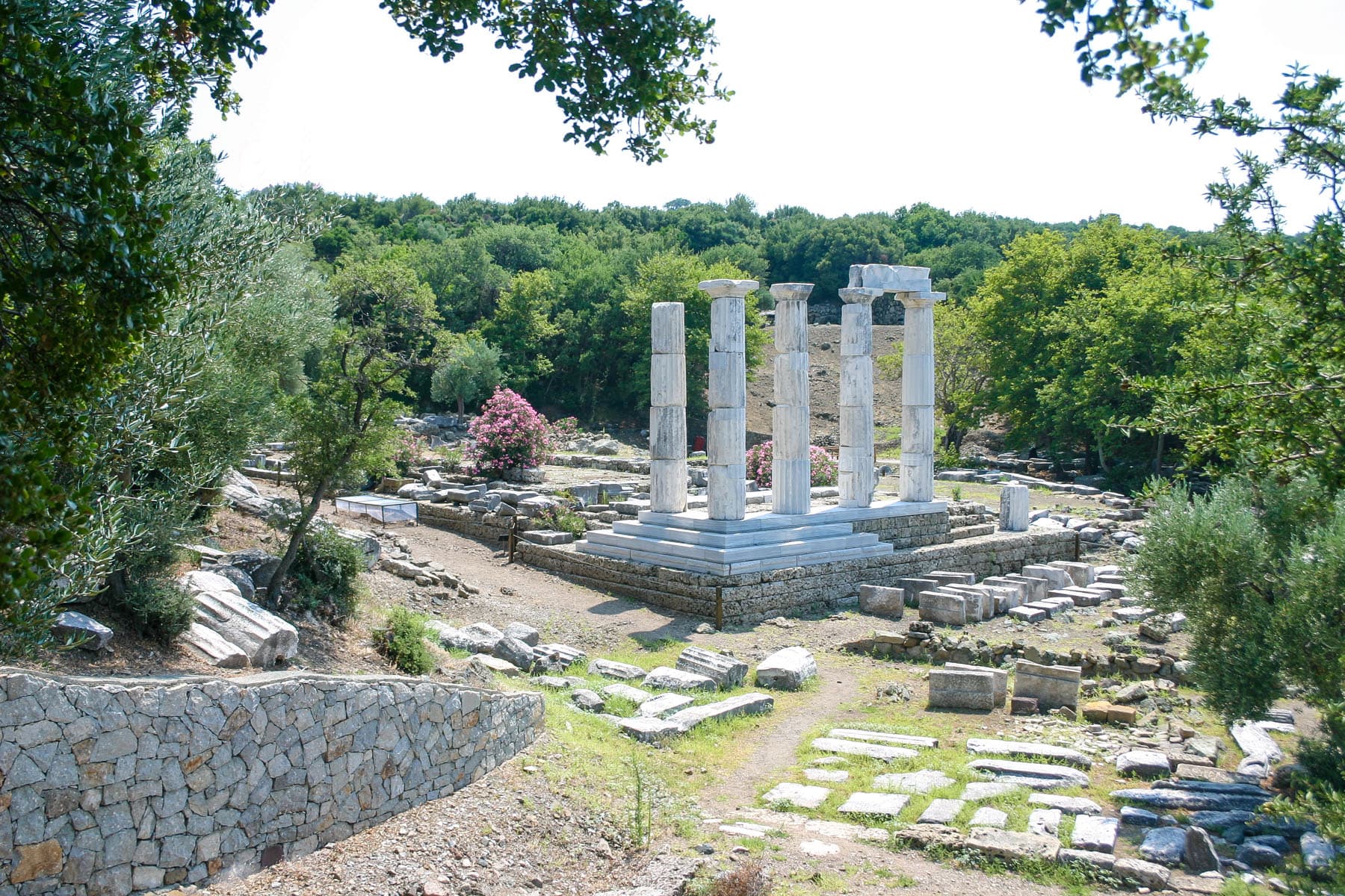 Hieron 1