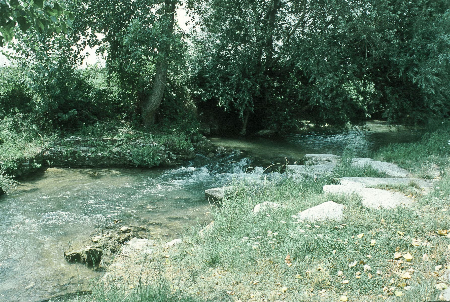 Krenides River 1