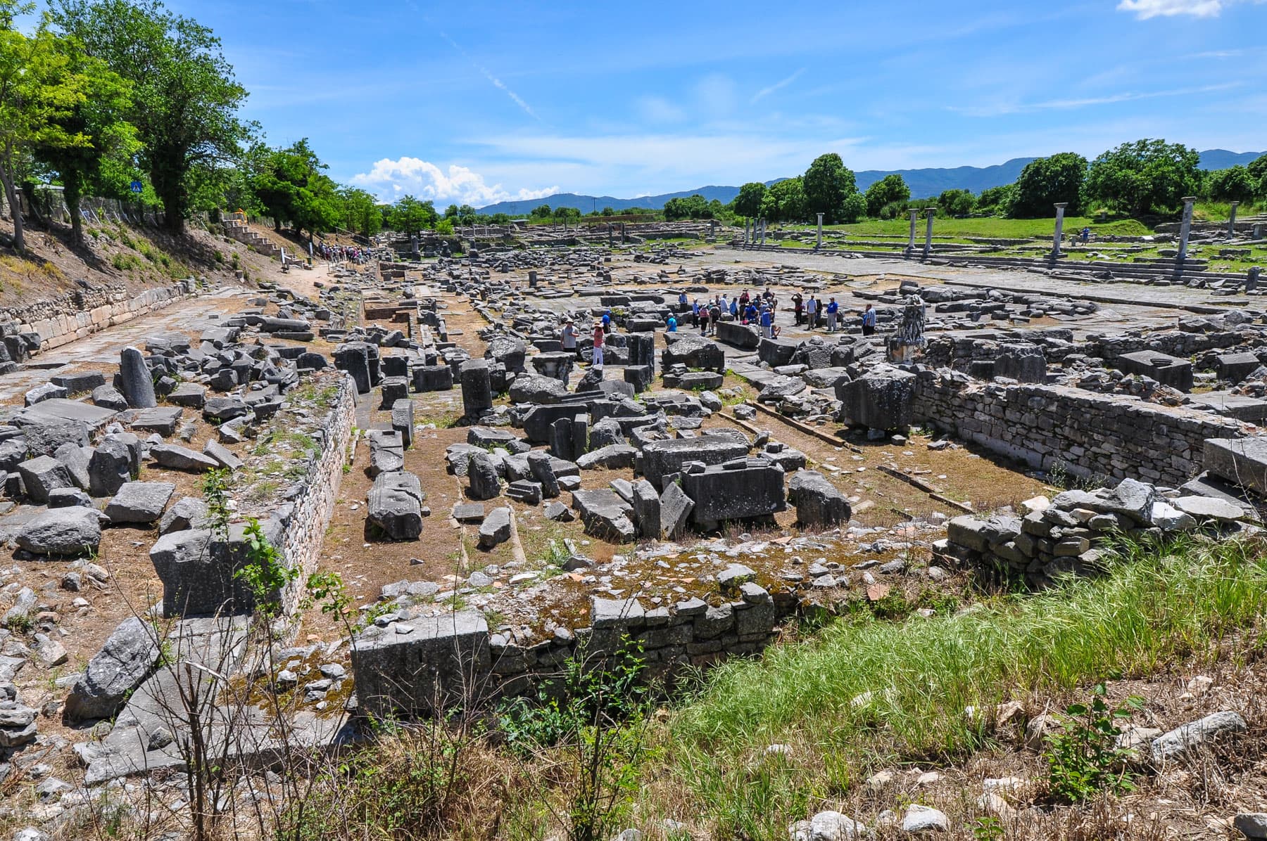 Curia
