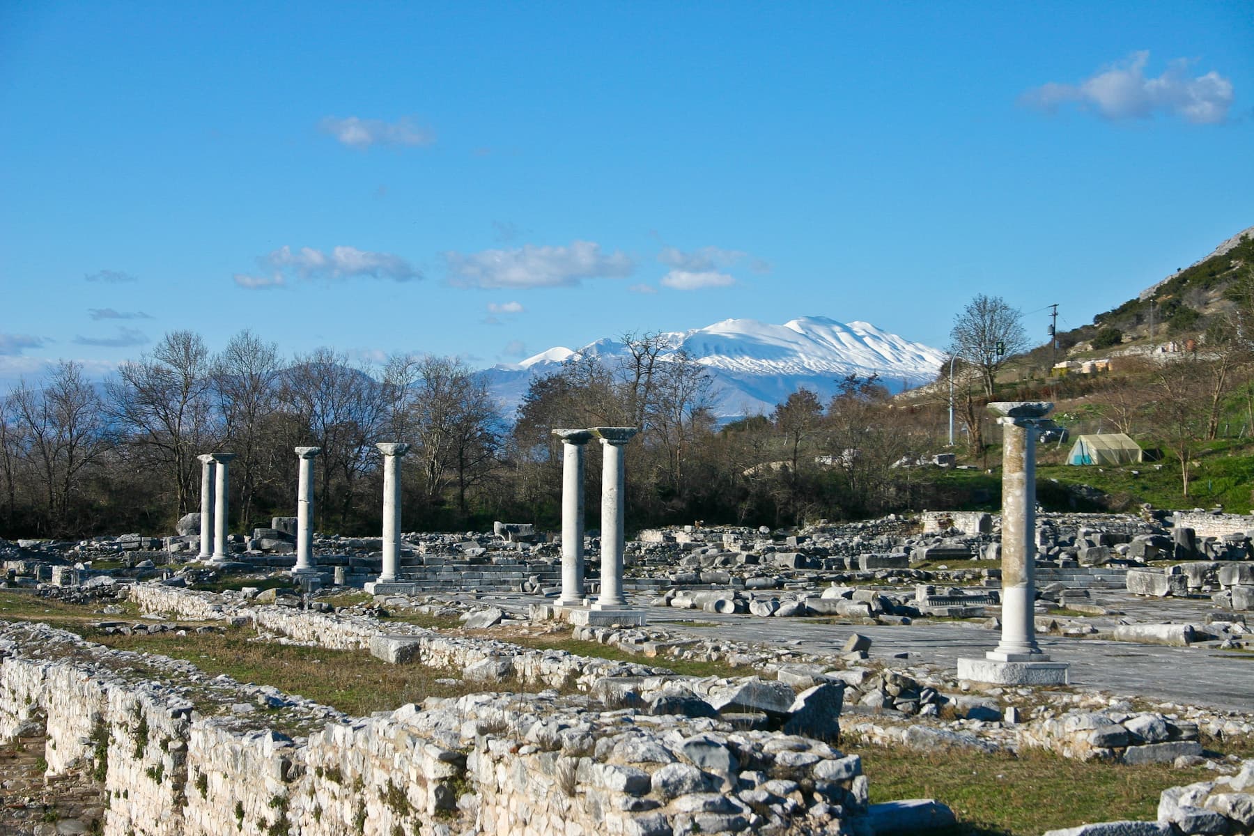 Forum 1