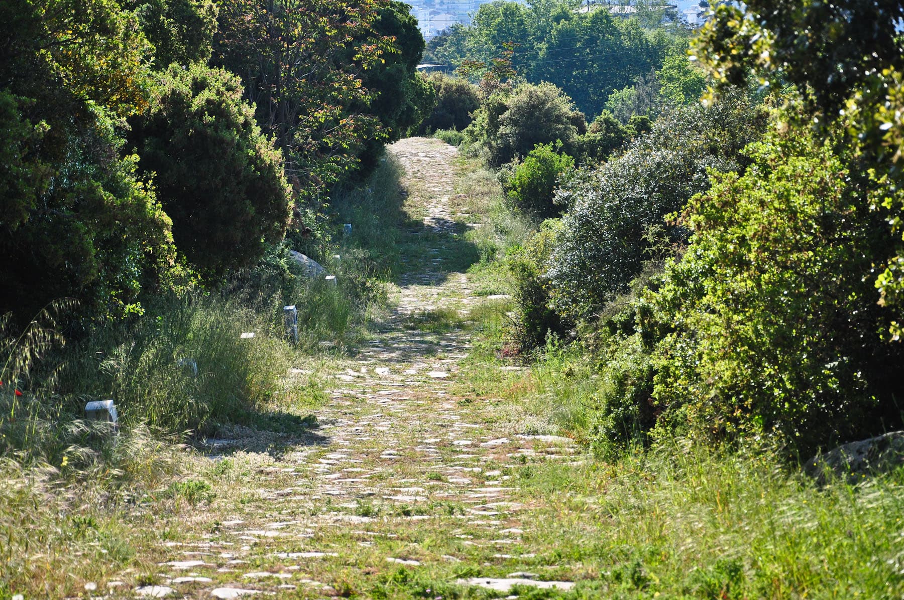 Via Egnatia 1