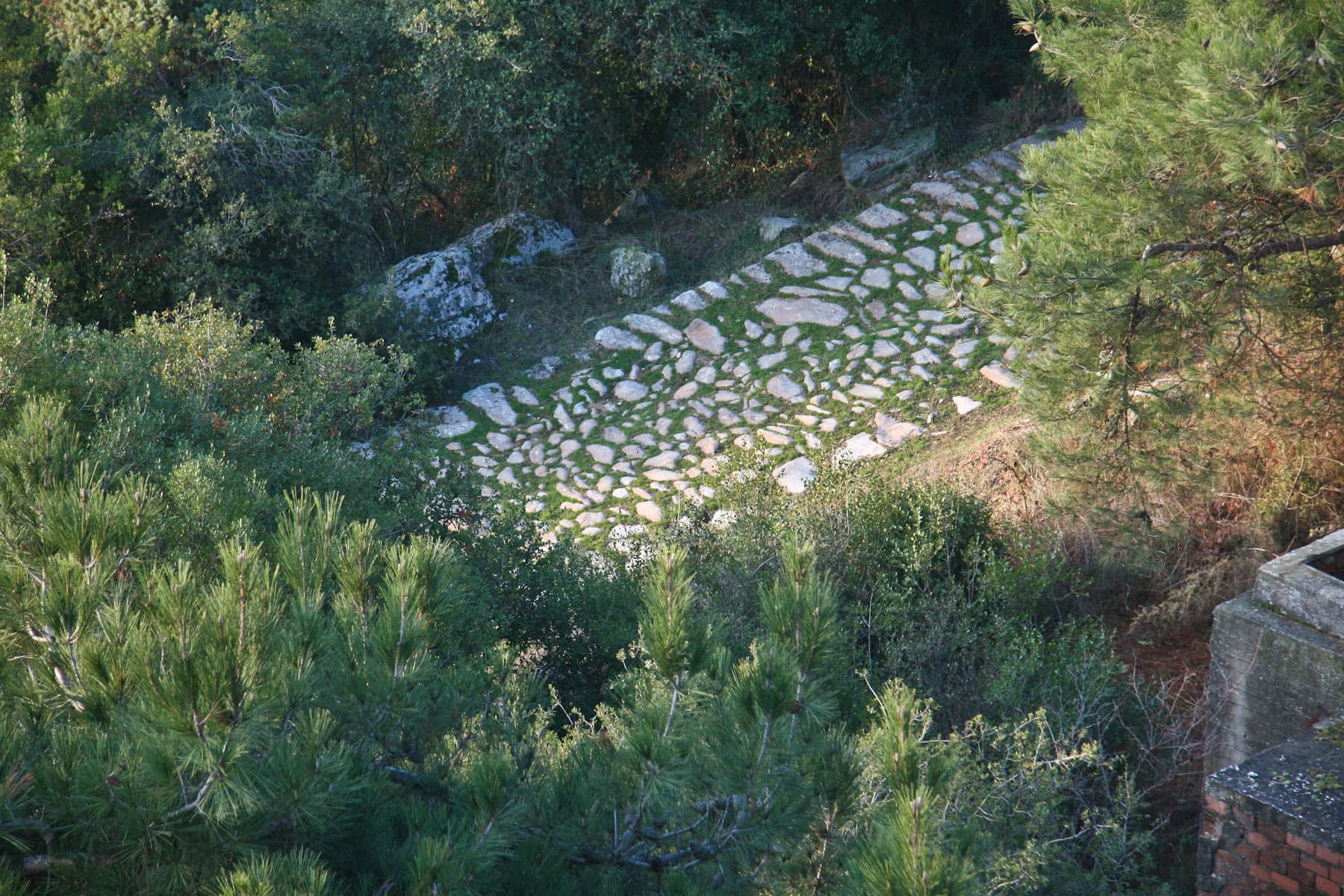 Via Egnatia (detail)
