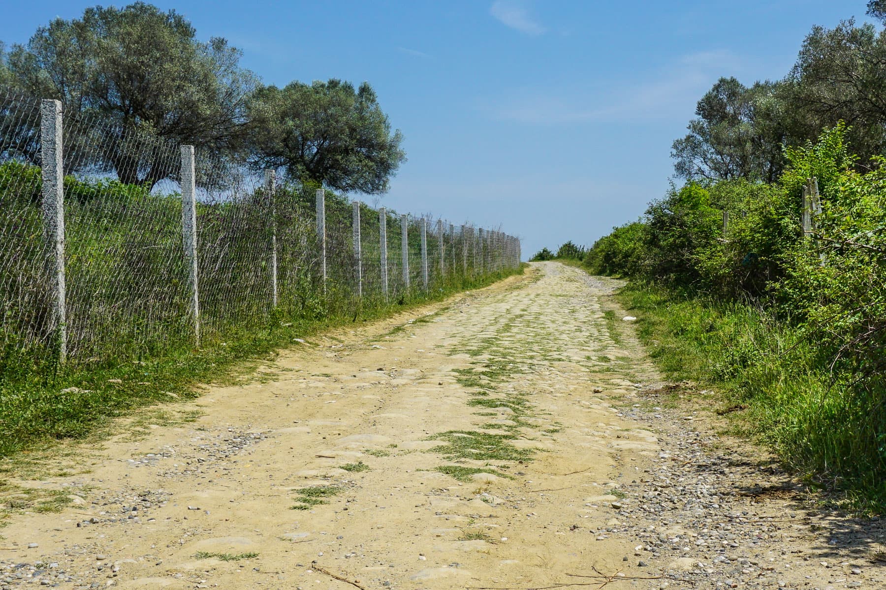 Road Near Peqin
