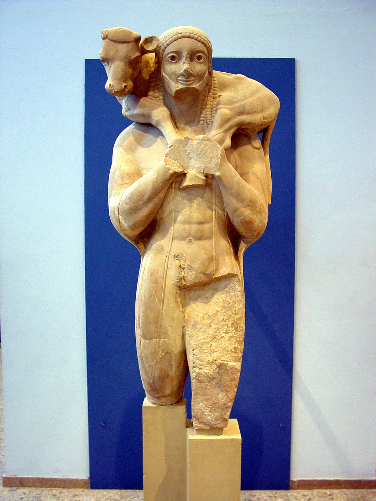 Calf Bearer