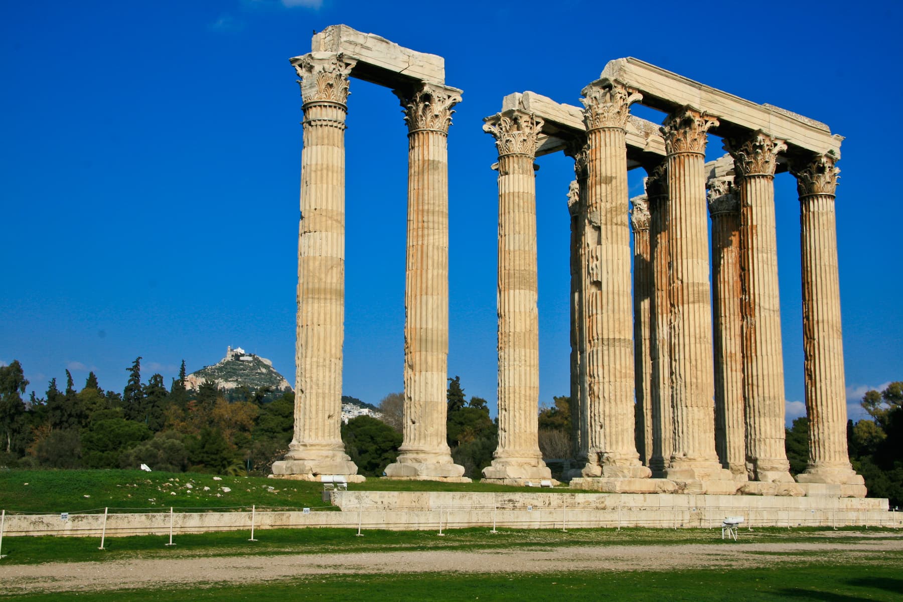 Forest of Columns
