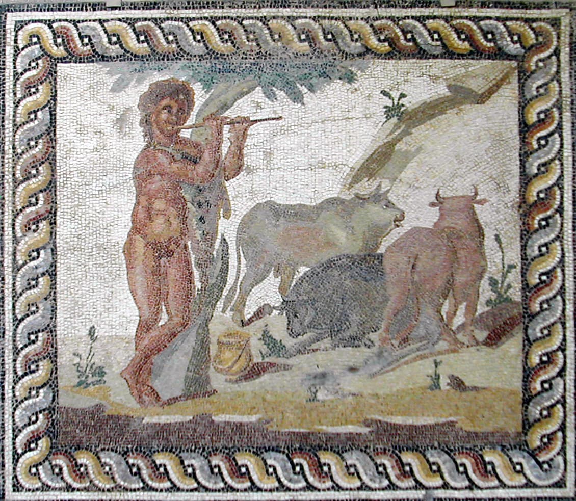 Piping Herdsman