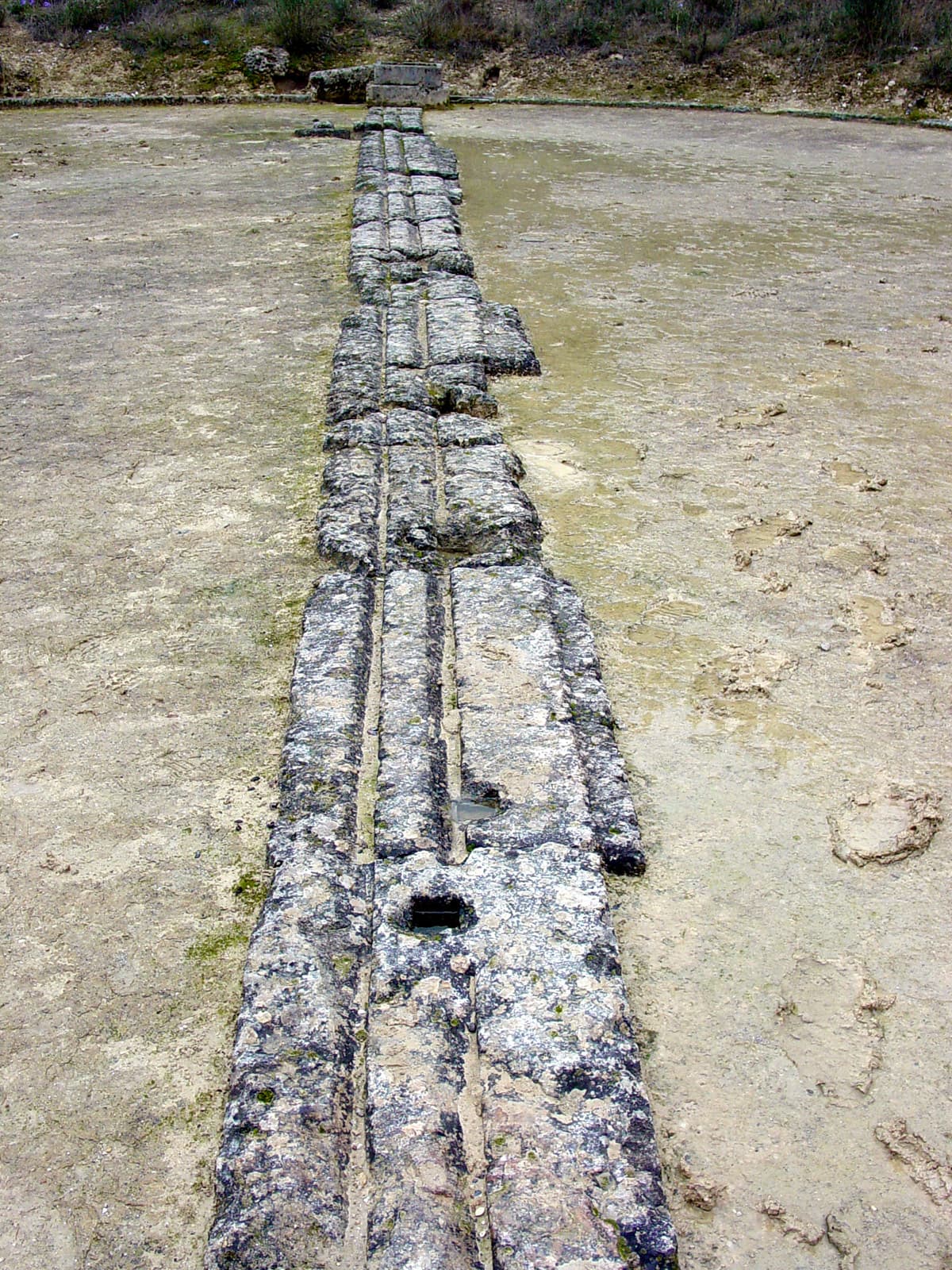 Starting Line (Balbis)