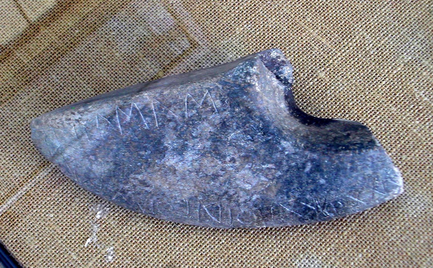 Jumping Weight (Halter)