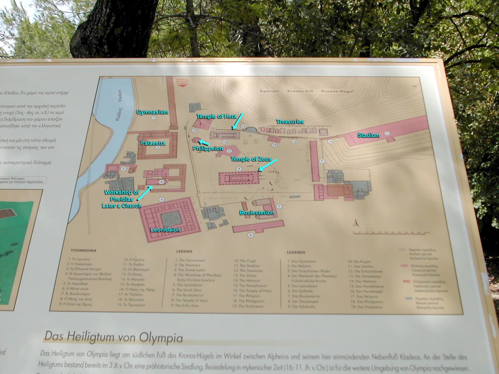 Olympia Diagram