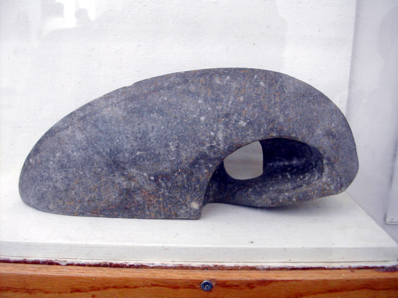 Jumping Weight (Halter)