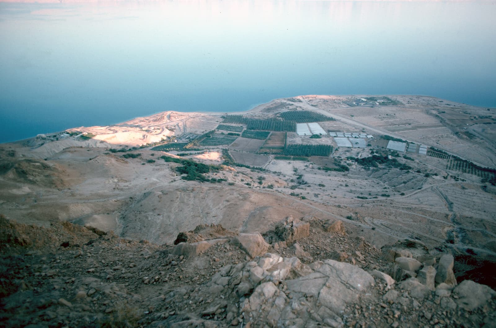 Overview
