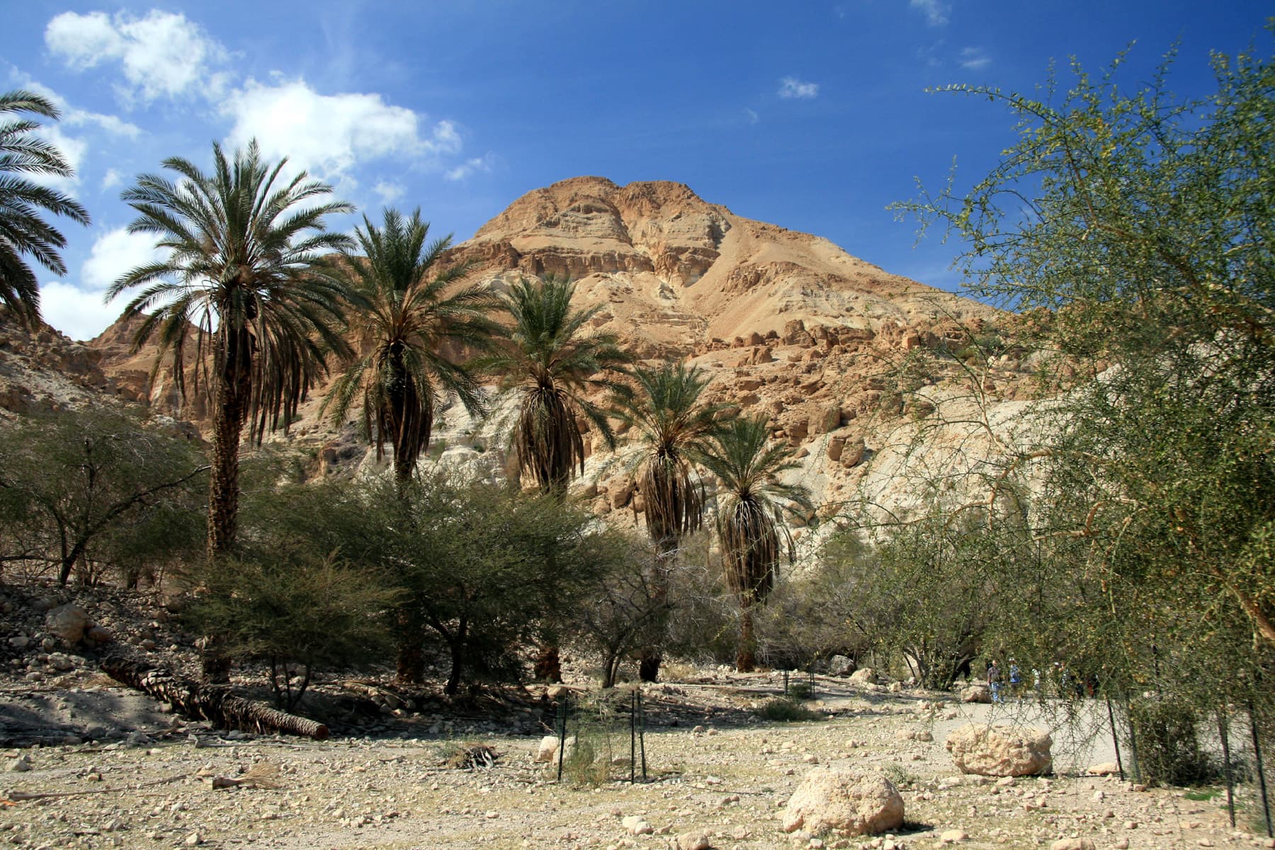 Nature Reserve