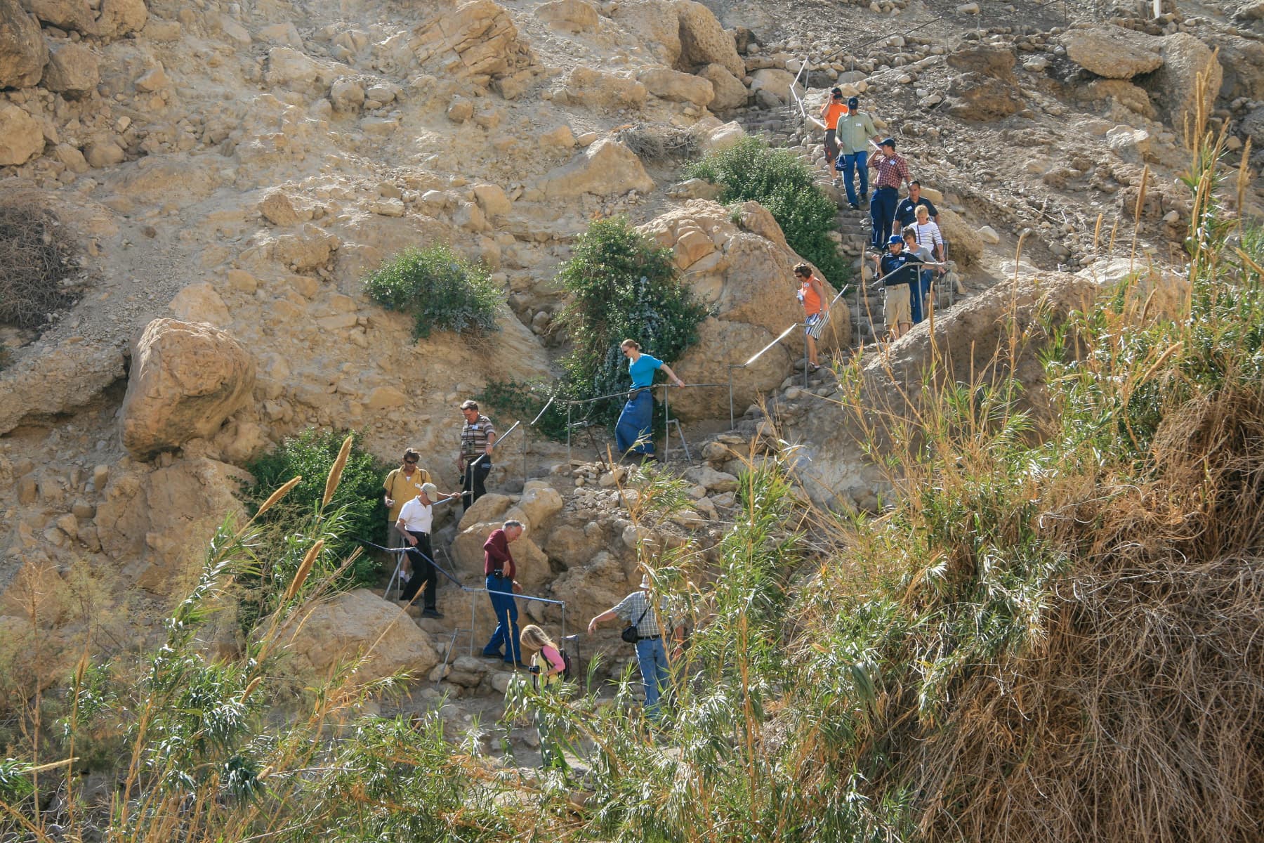 Hikers