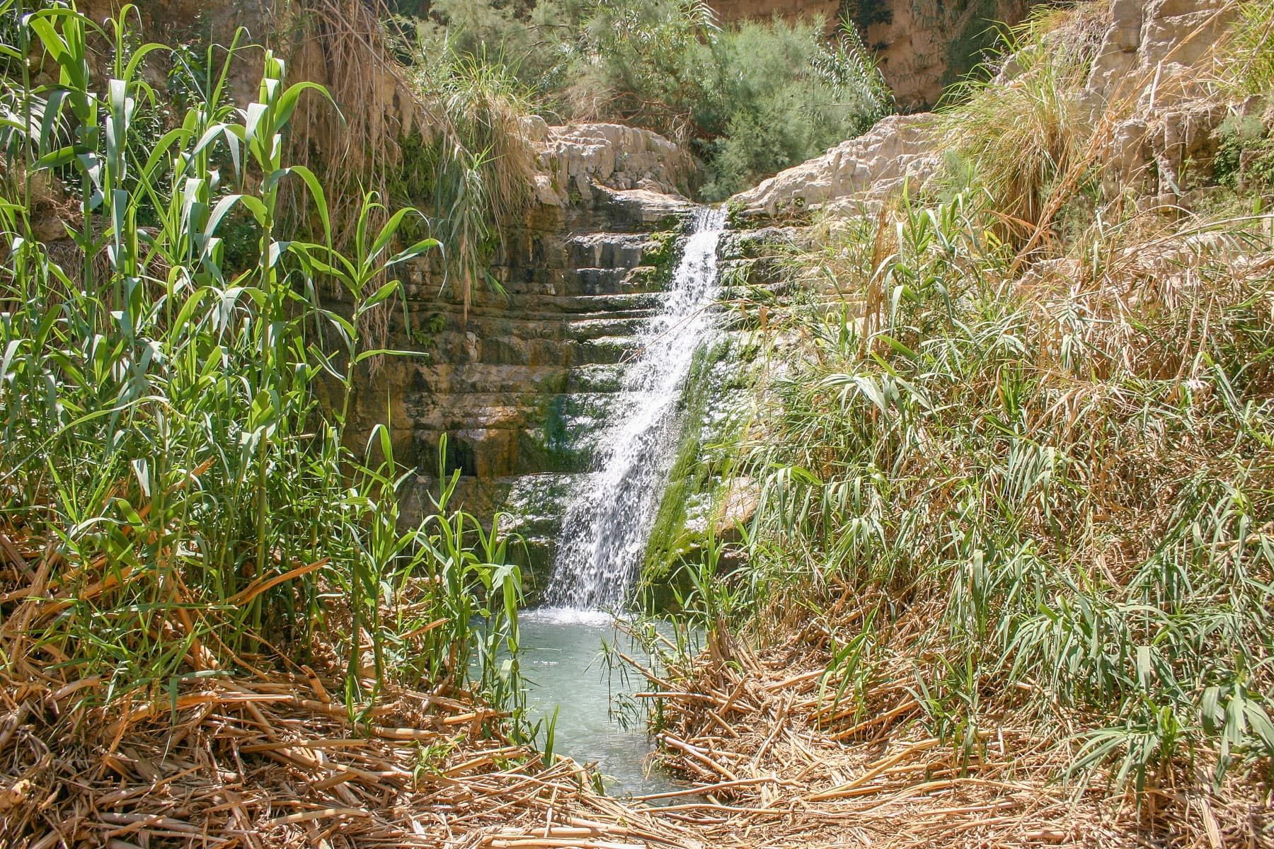 Lower Waterfall