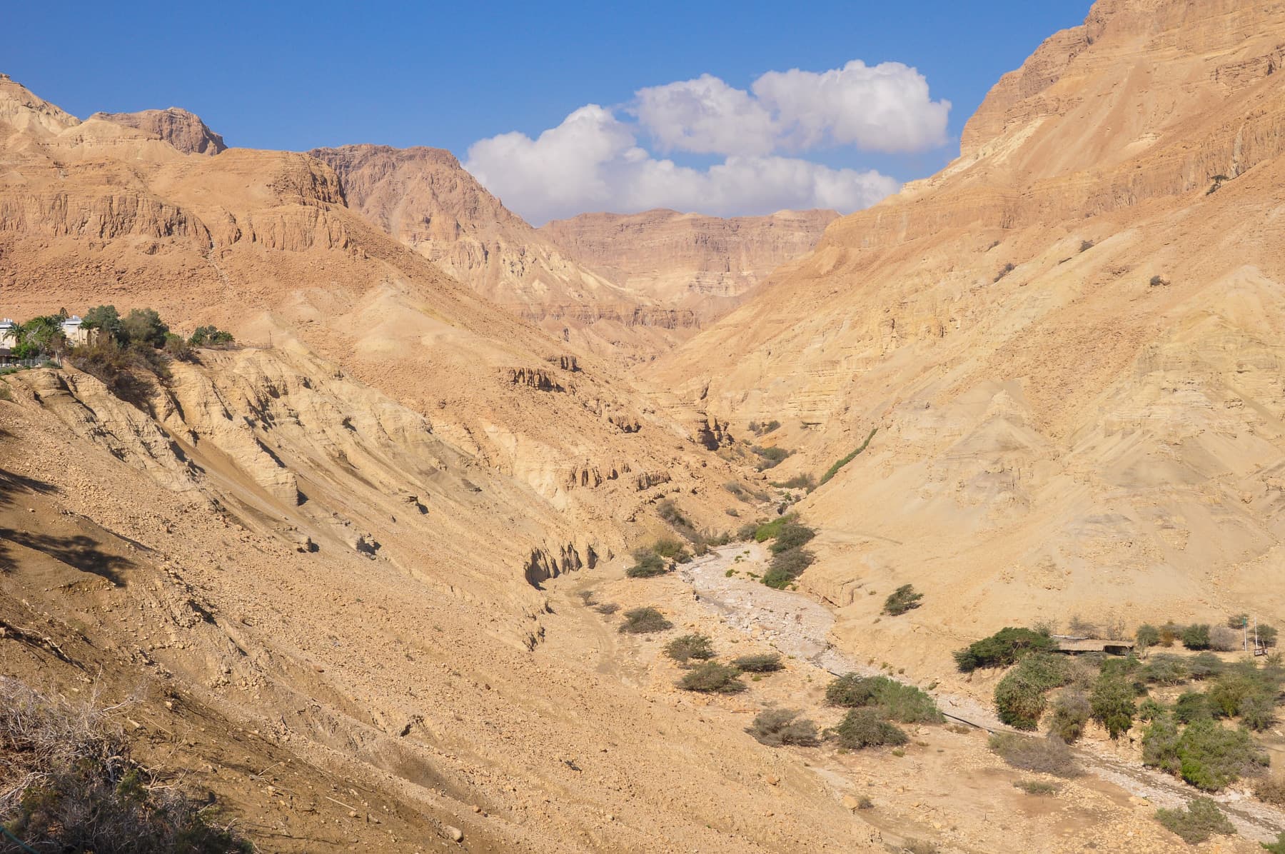 Nahal Arugot