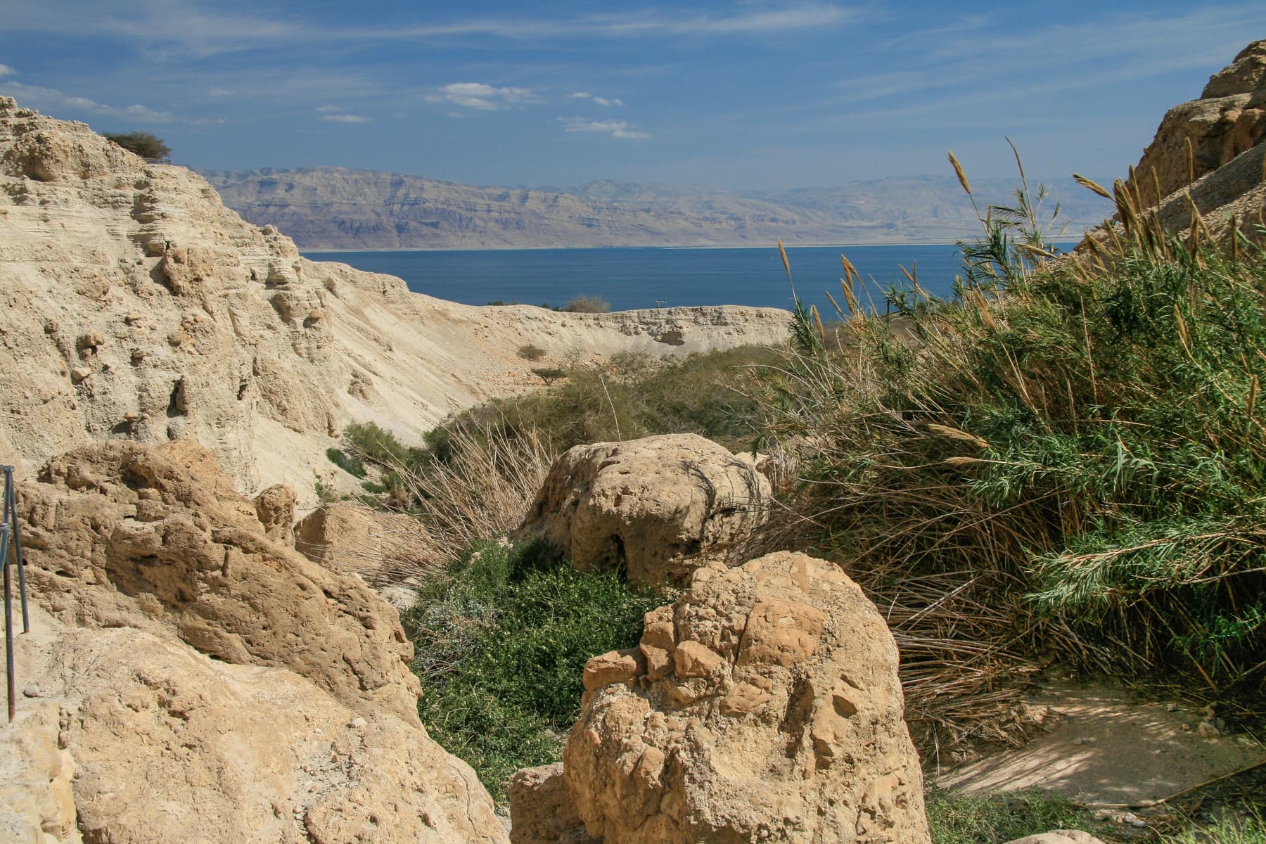 Nahal David East