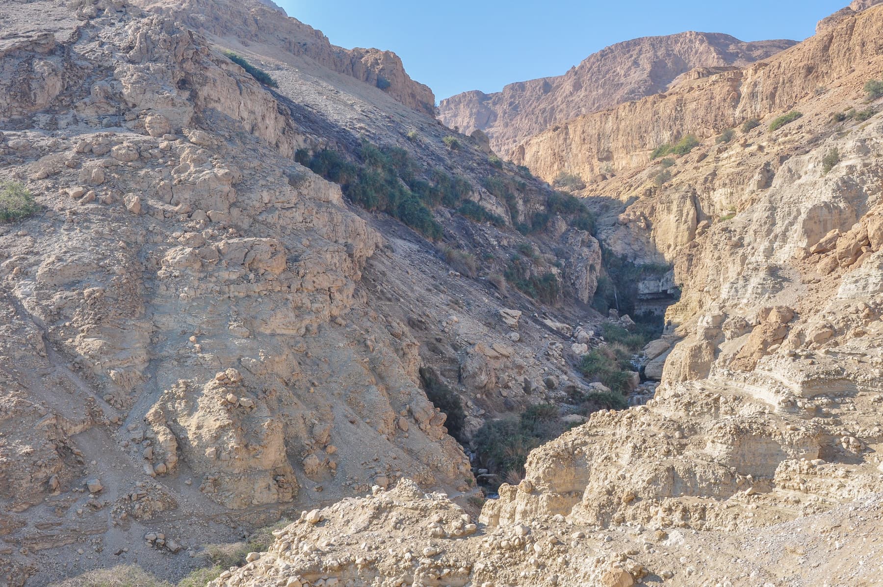 Nahal David West