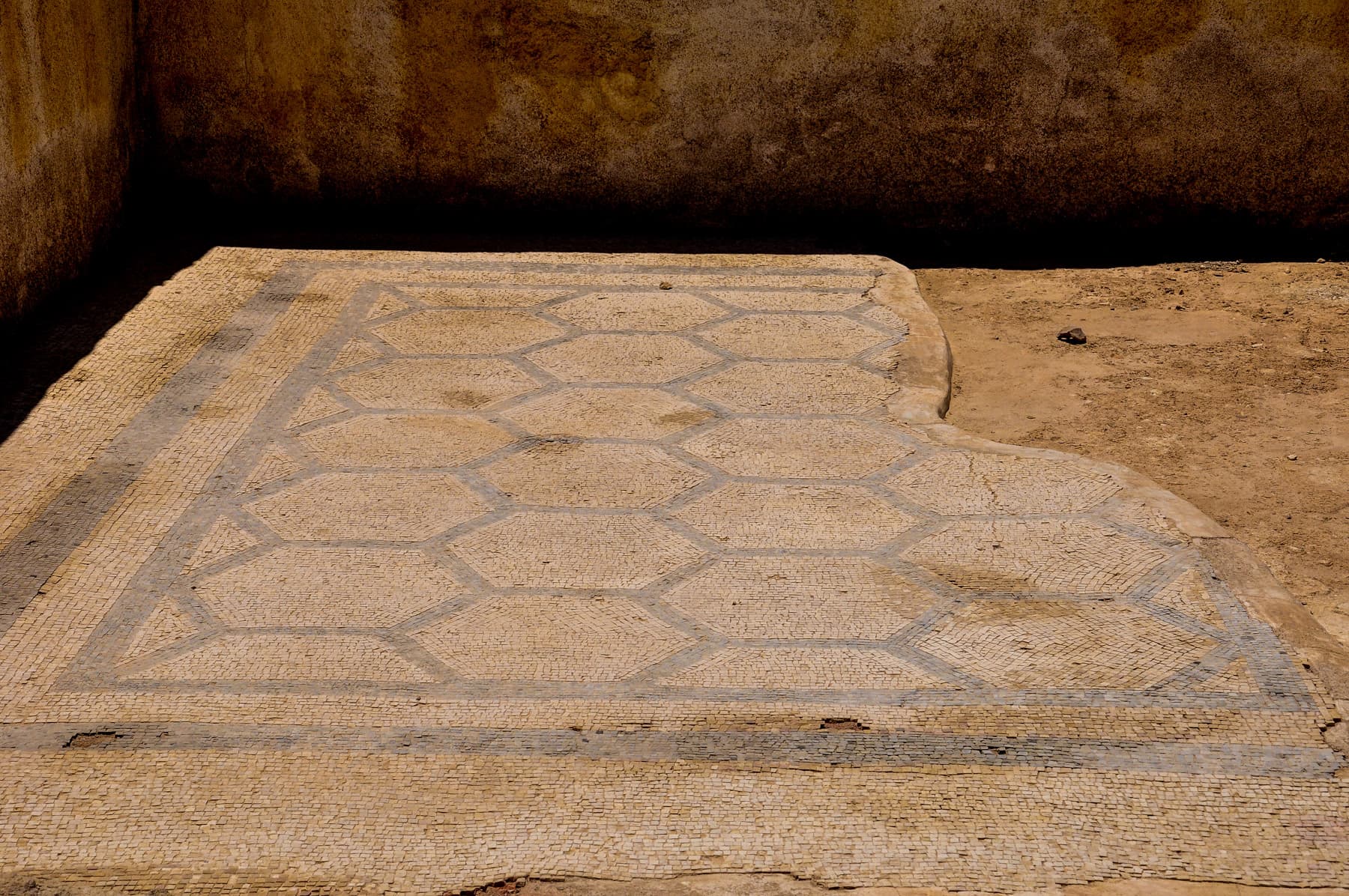 Upper Terrace Mosaic 2