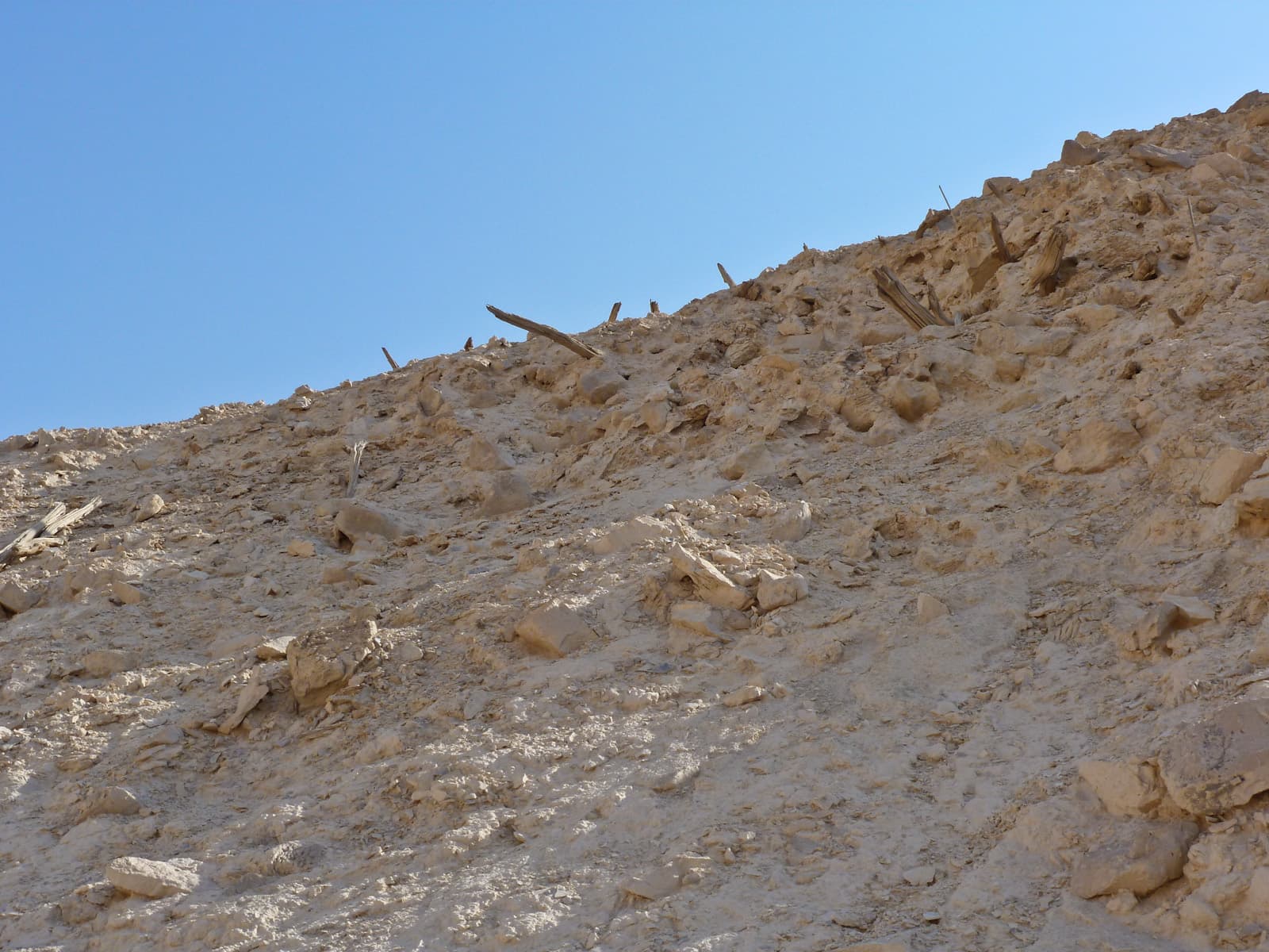 Wood in Siege Ramp 1