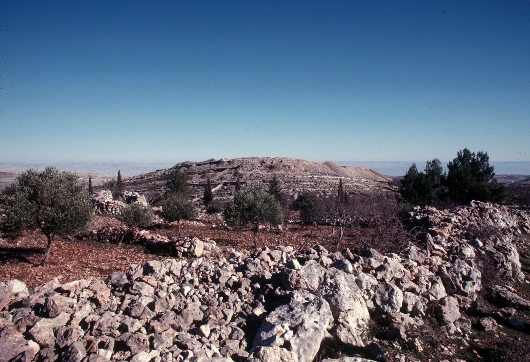 Et-Tell View