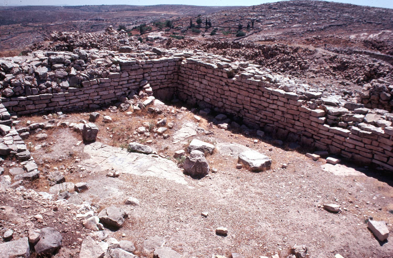 Palace/Temple (1)