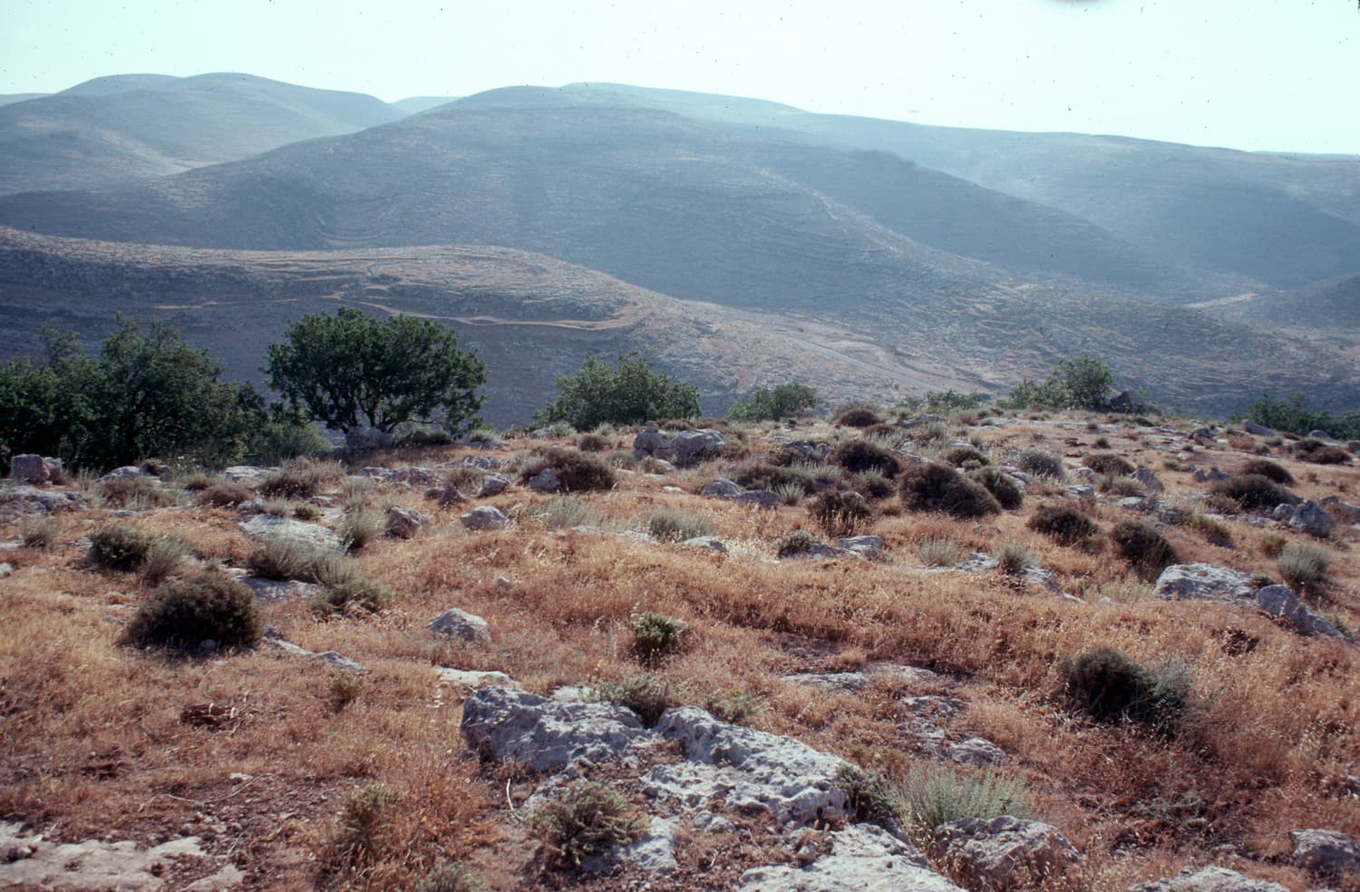 Dhahr Mirzbaneh View