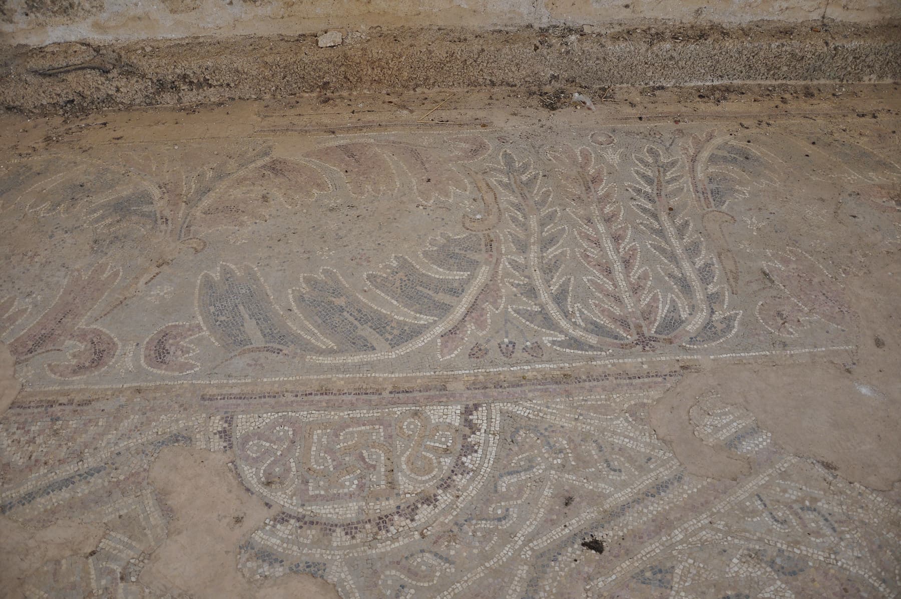 Mosaic 2