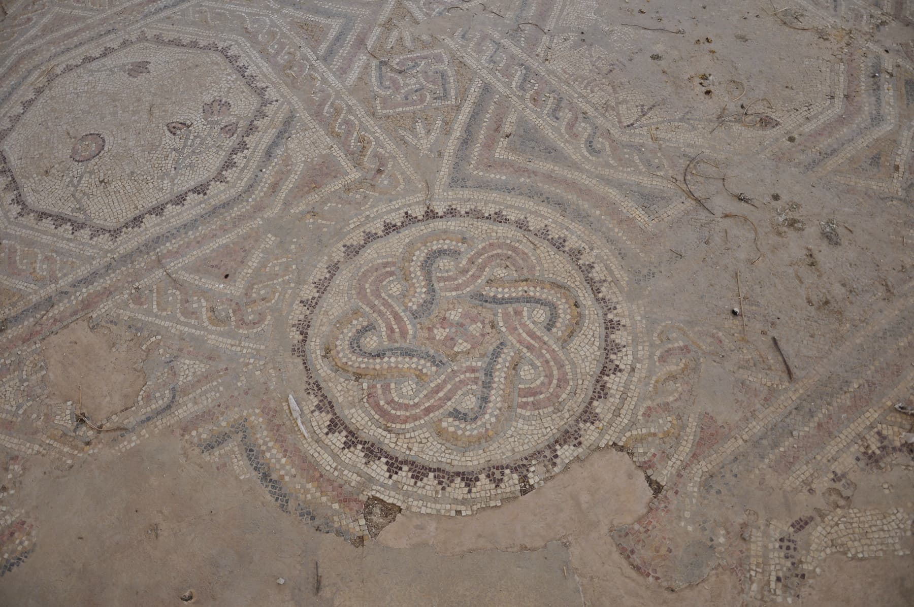 Mosaic 5