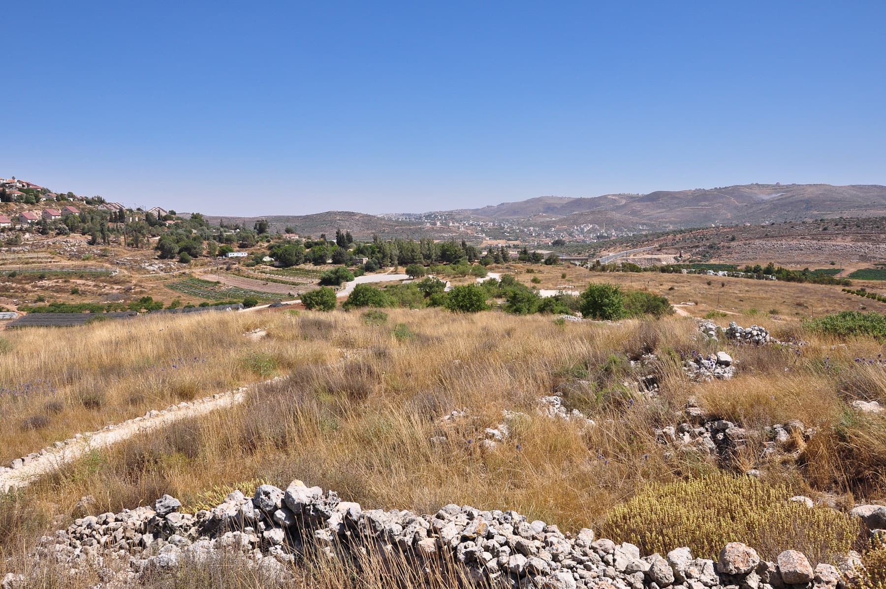 View South