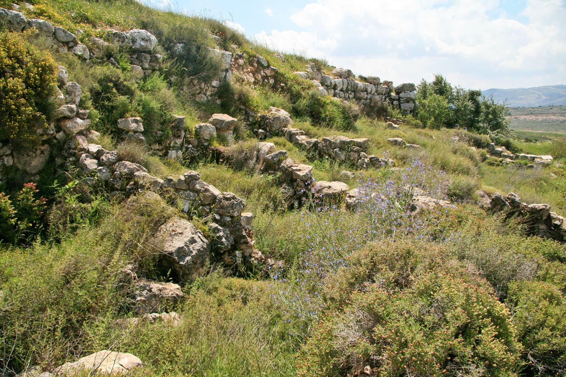 Middle Bronze Wall 1