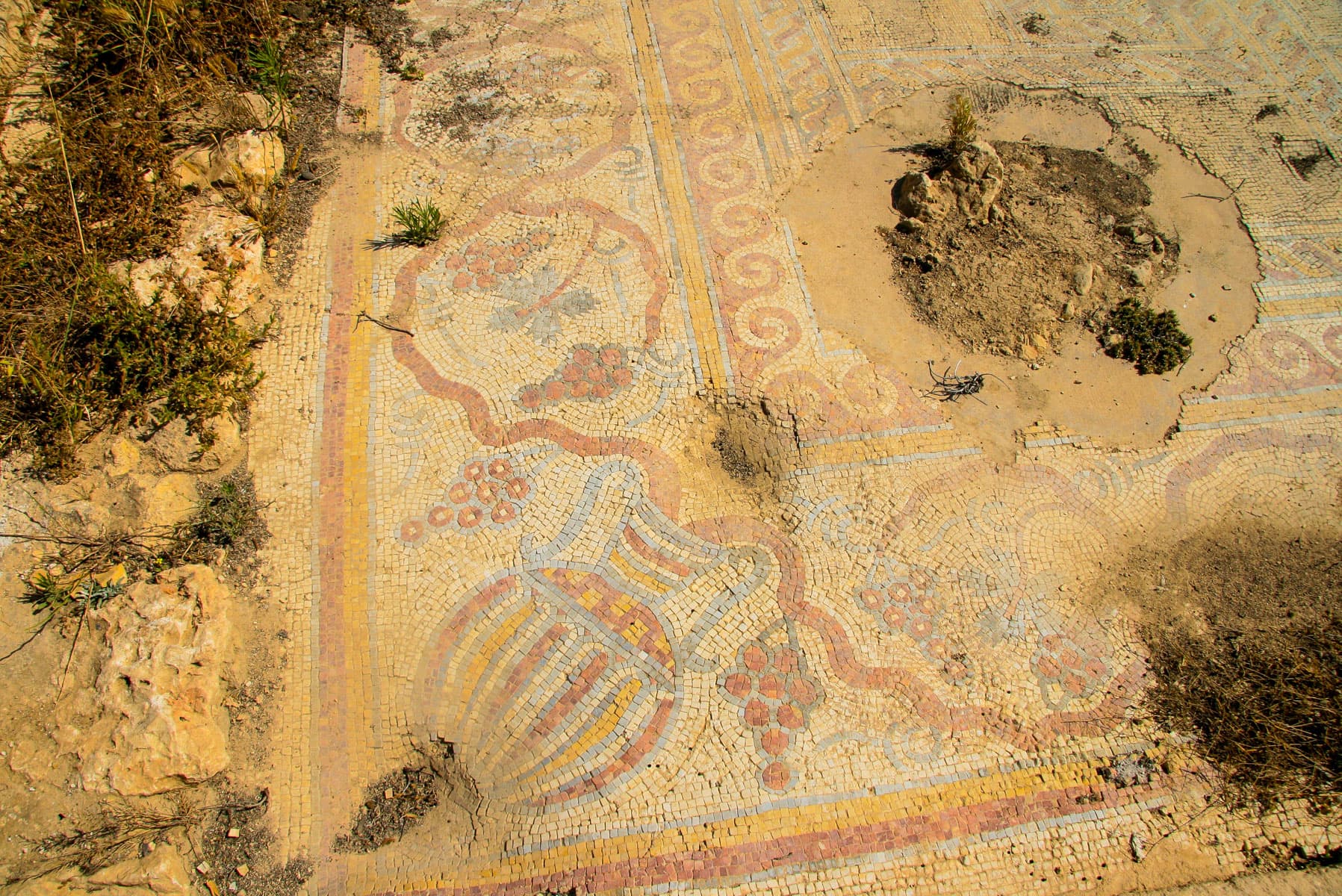 Mosaic 1