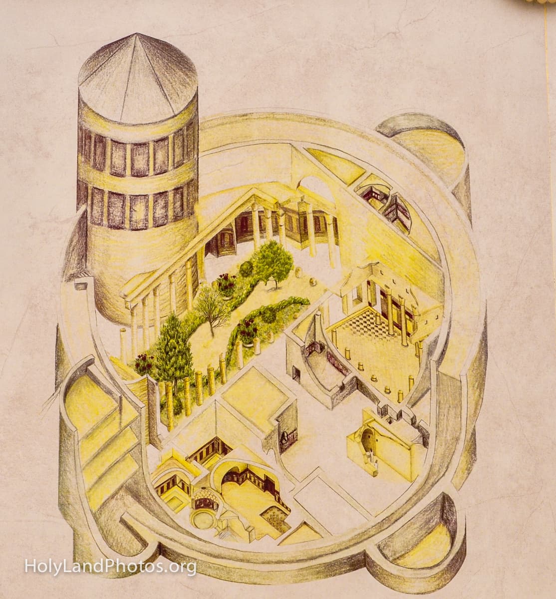 Artist's Drawing