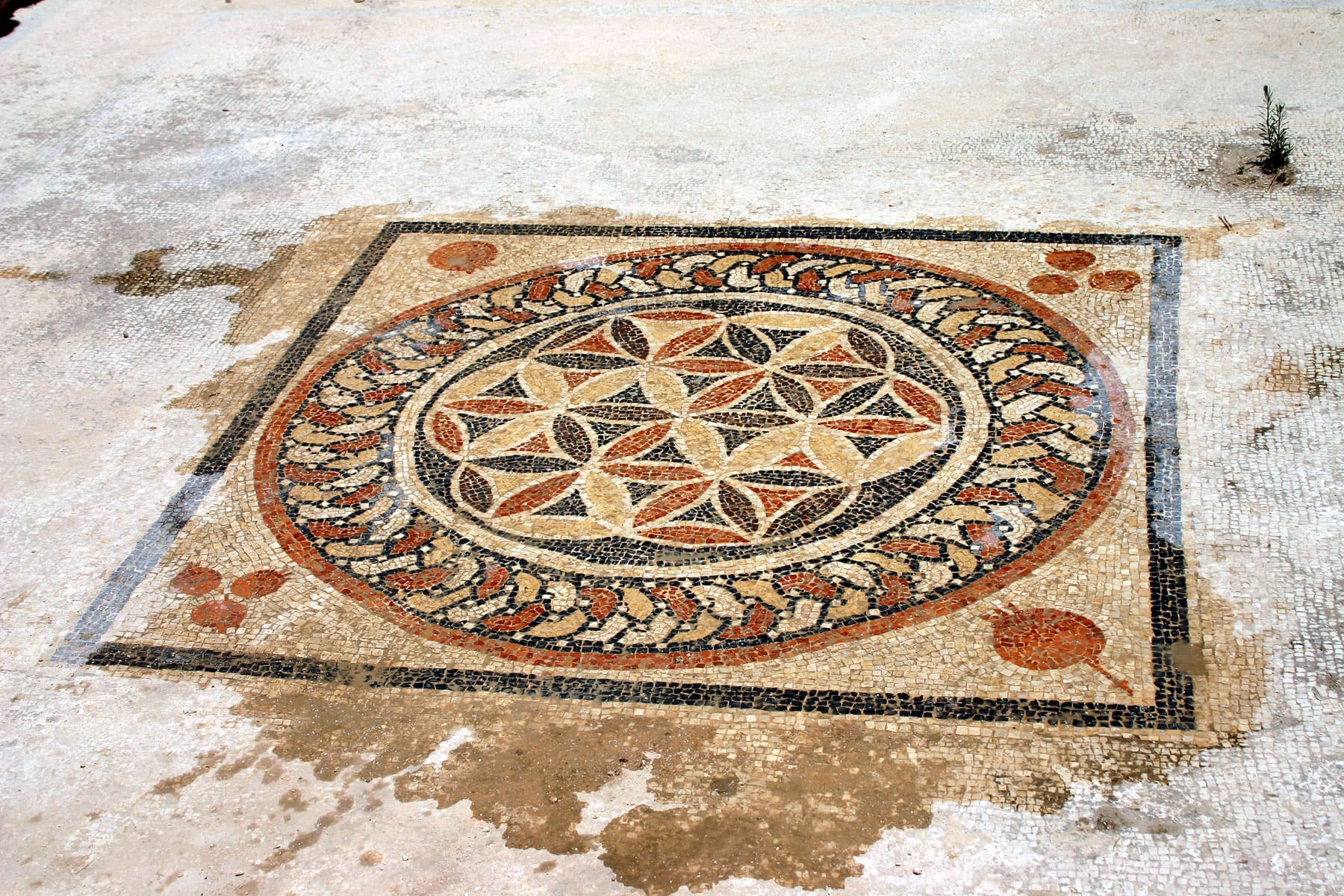 Bathhouse Mosaic  1